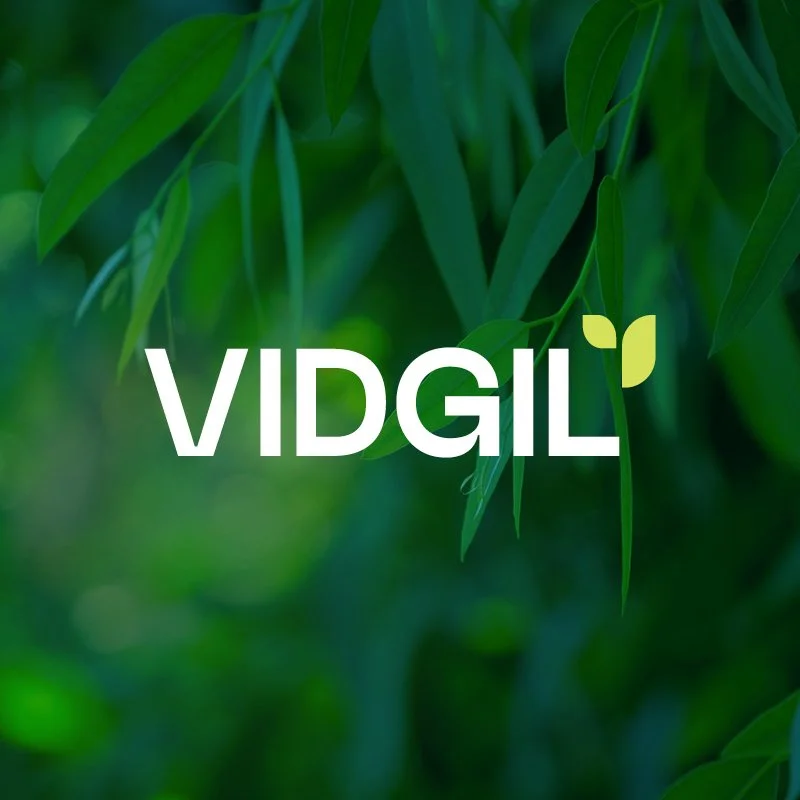 Vidgil