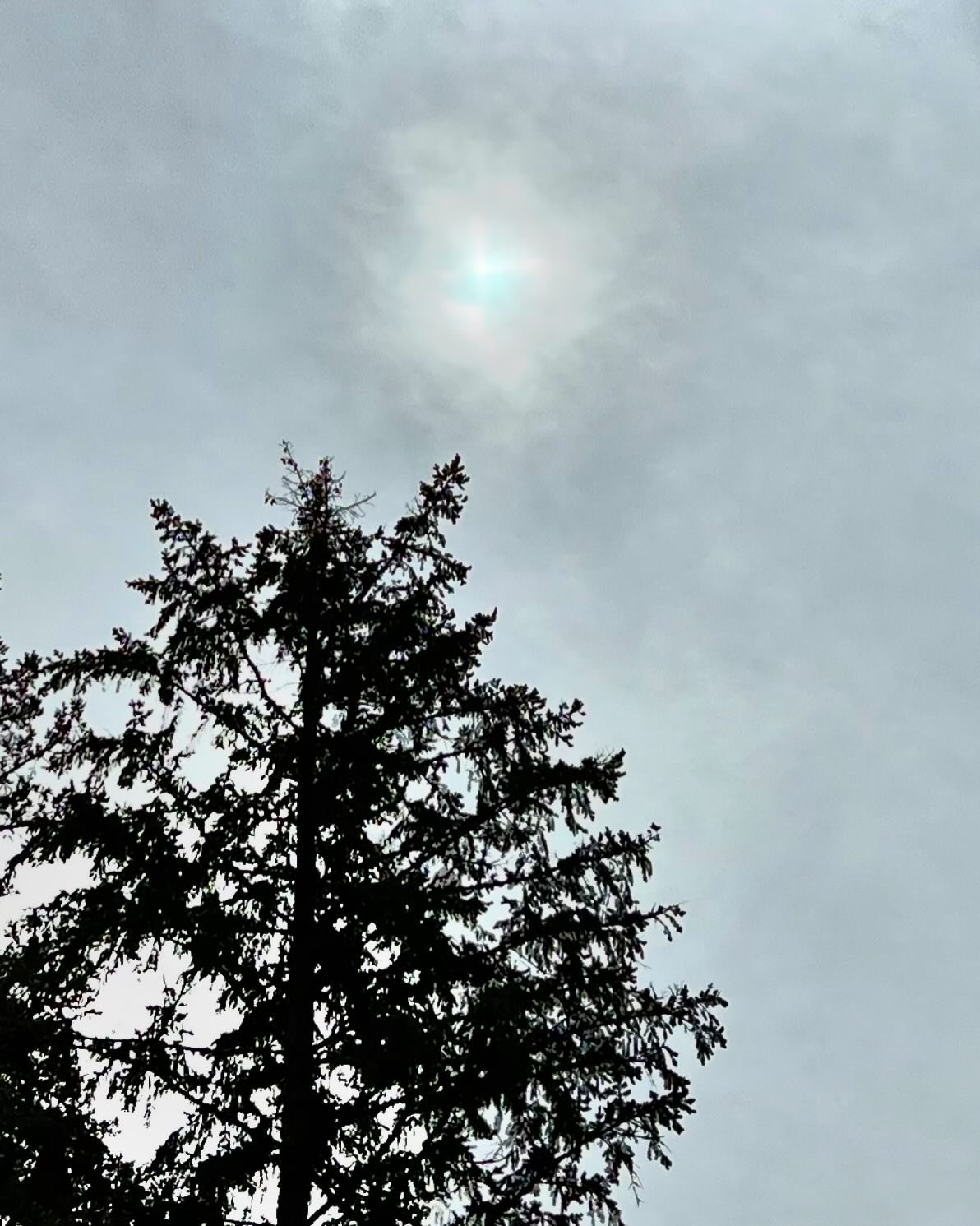 Well, it was too cloudy here in Cascadia to see much of a show, but if you look in the lower right corner, you can imagine where the moon is eclipsing the sun by 23%. 🖤

May this day find you all in awe of the cycles of your lives, in appreciation o