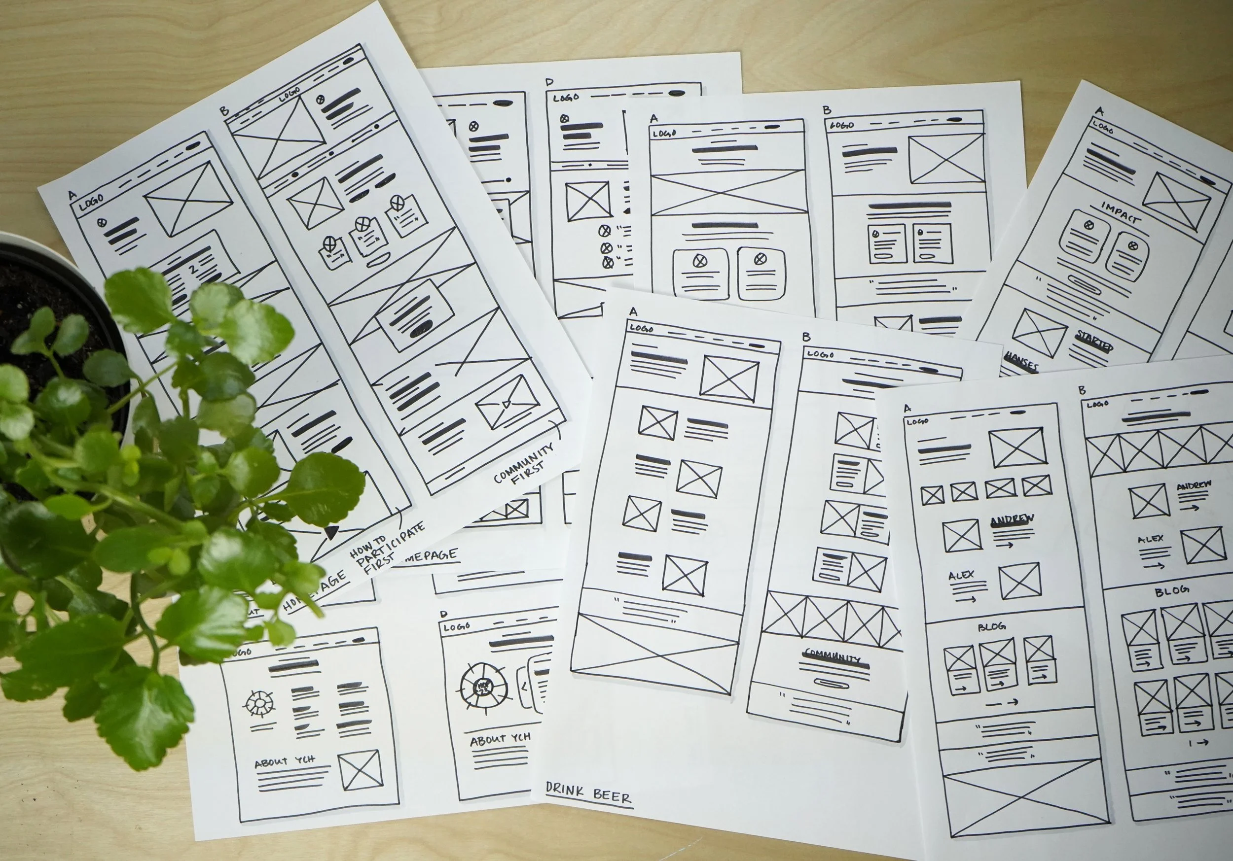 Ales paper wireframes.jpg