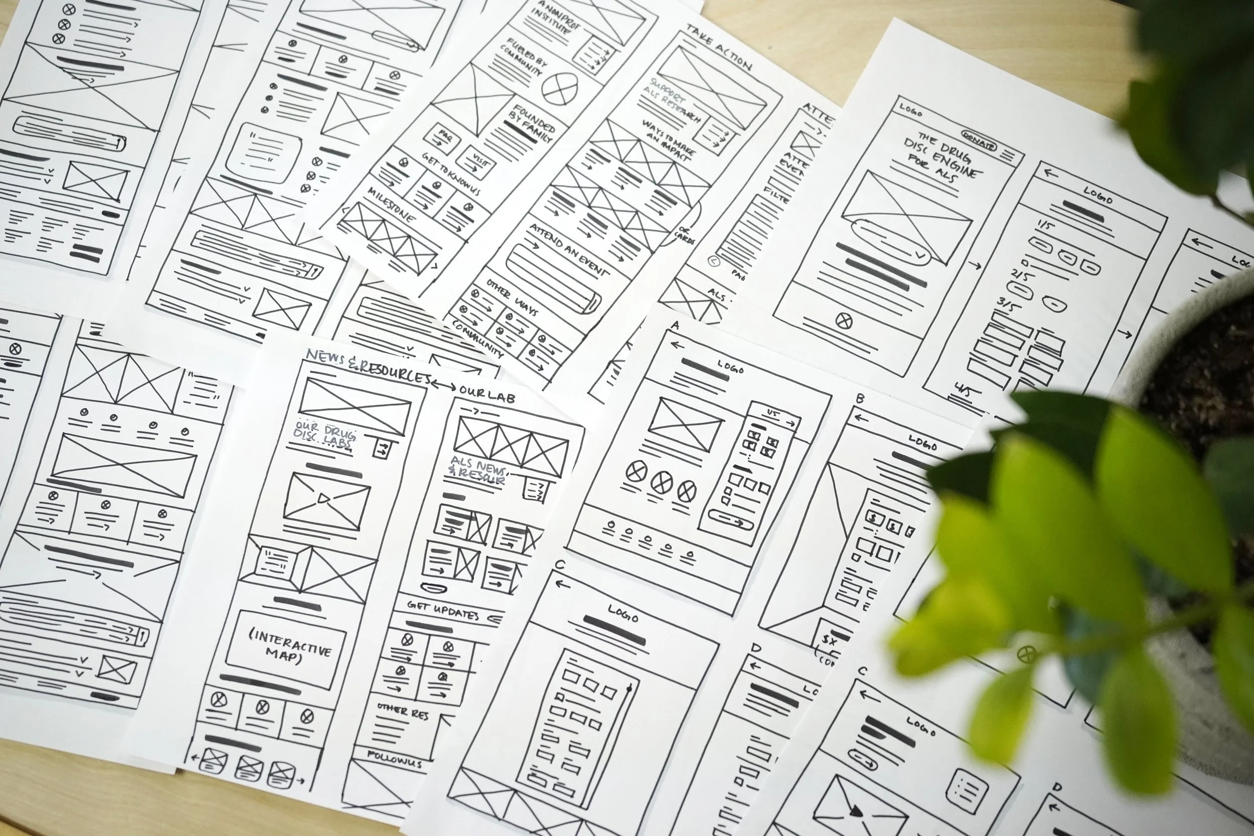ALS TDI paper wireframes.jpg