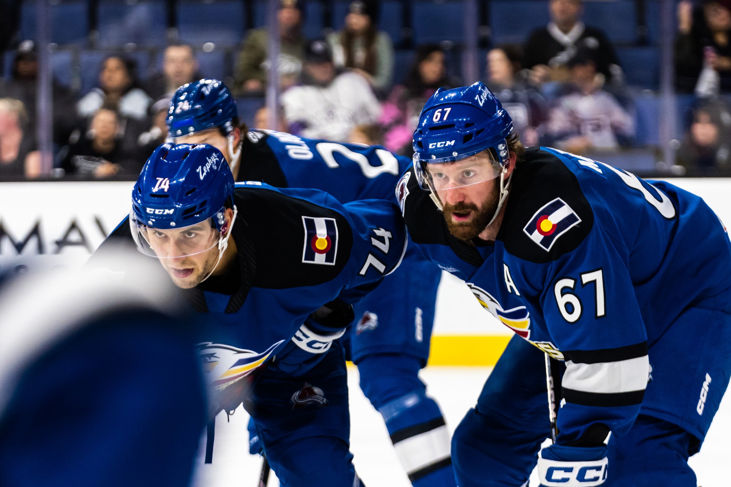 111223 ONT V COL-1473.jpg
