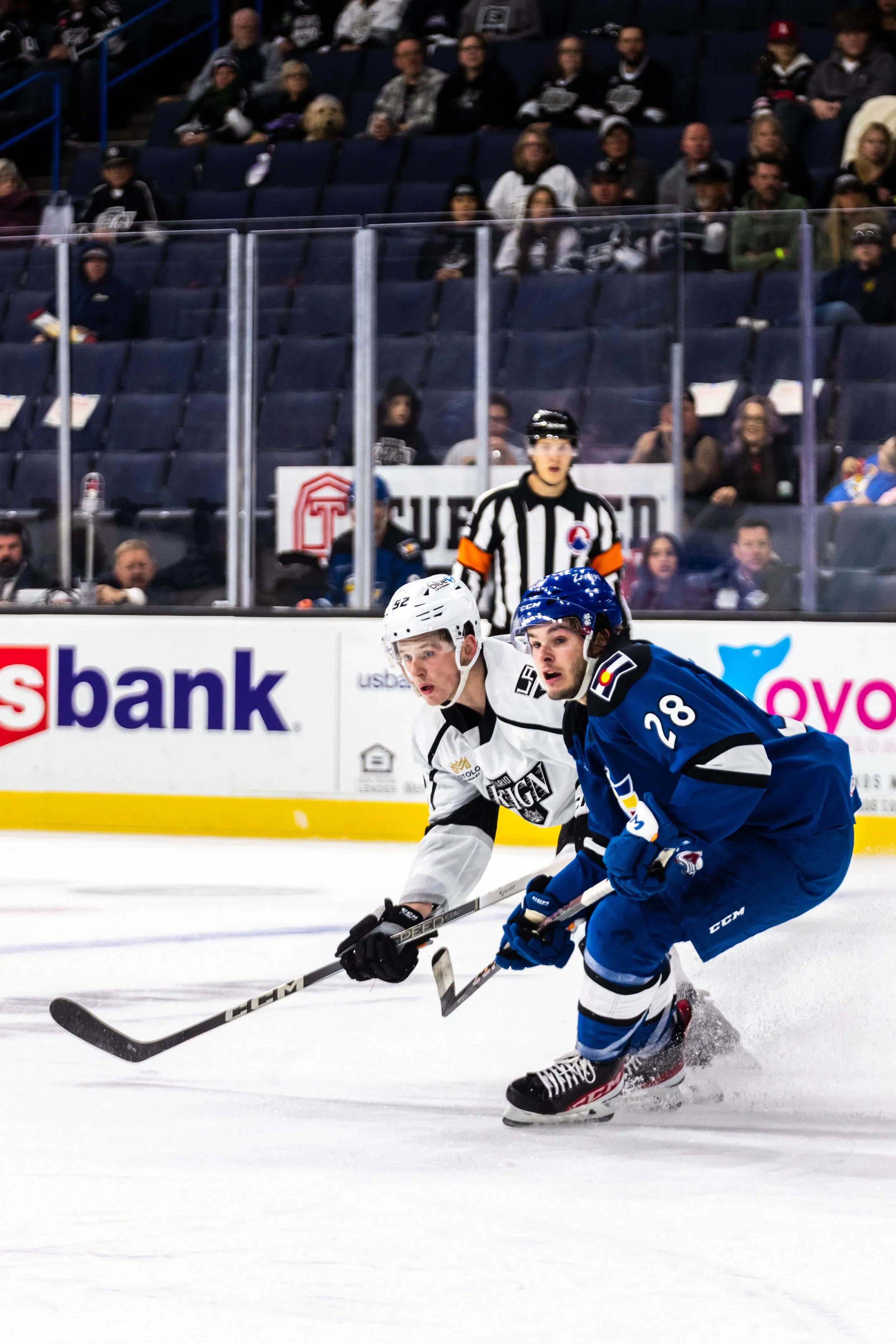 111223 ONT V COL-1624.jpg