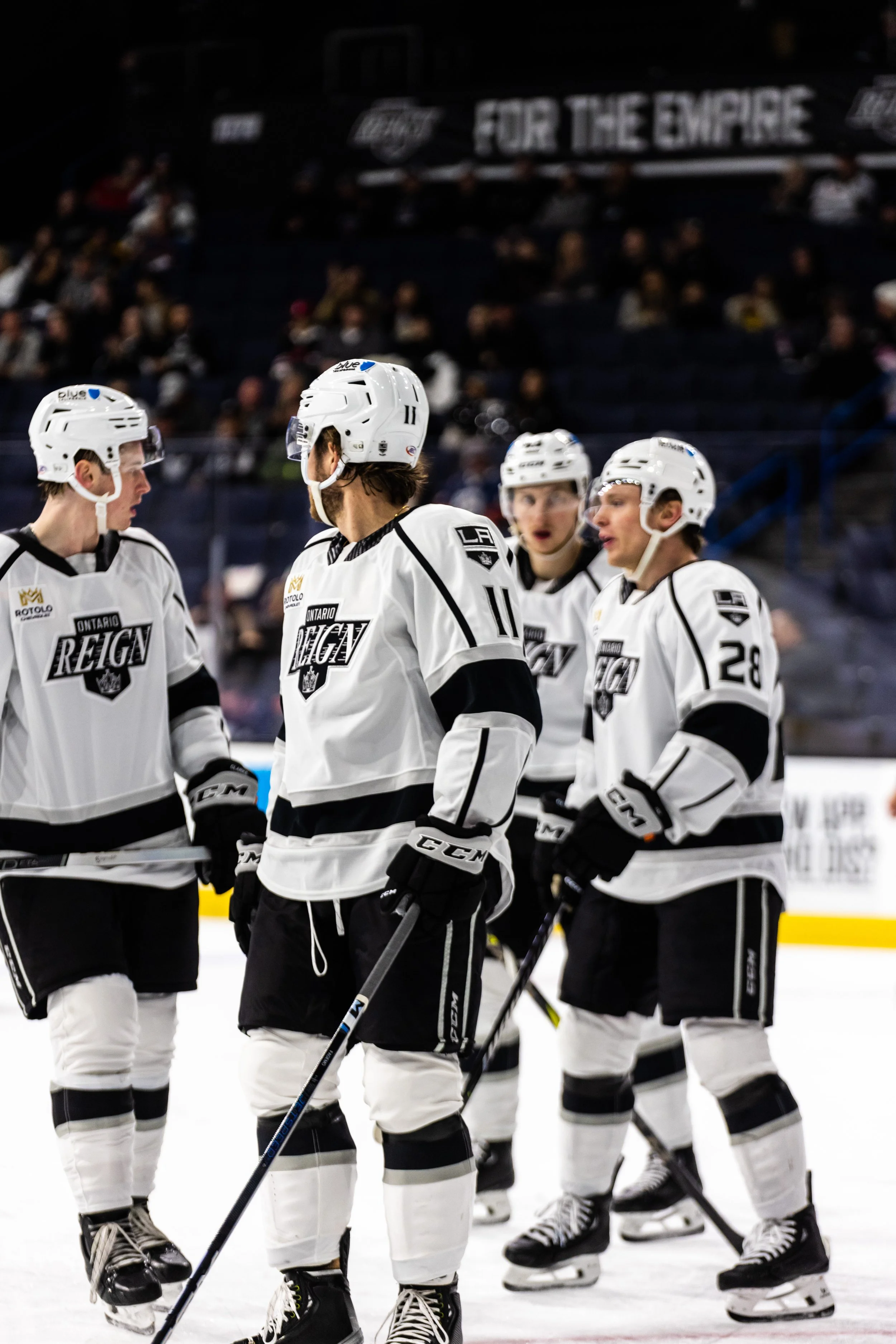 111223 ONT V COL-1466.jpg