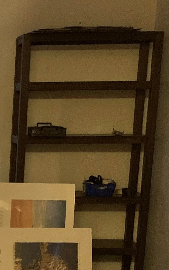 GOODWILL WON'T TAKE ME, WHO WILL?