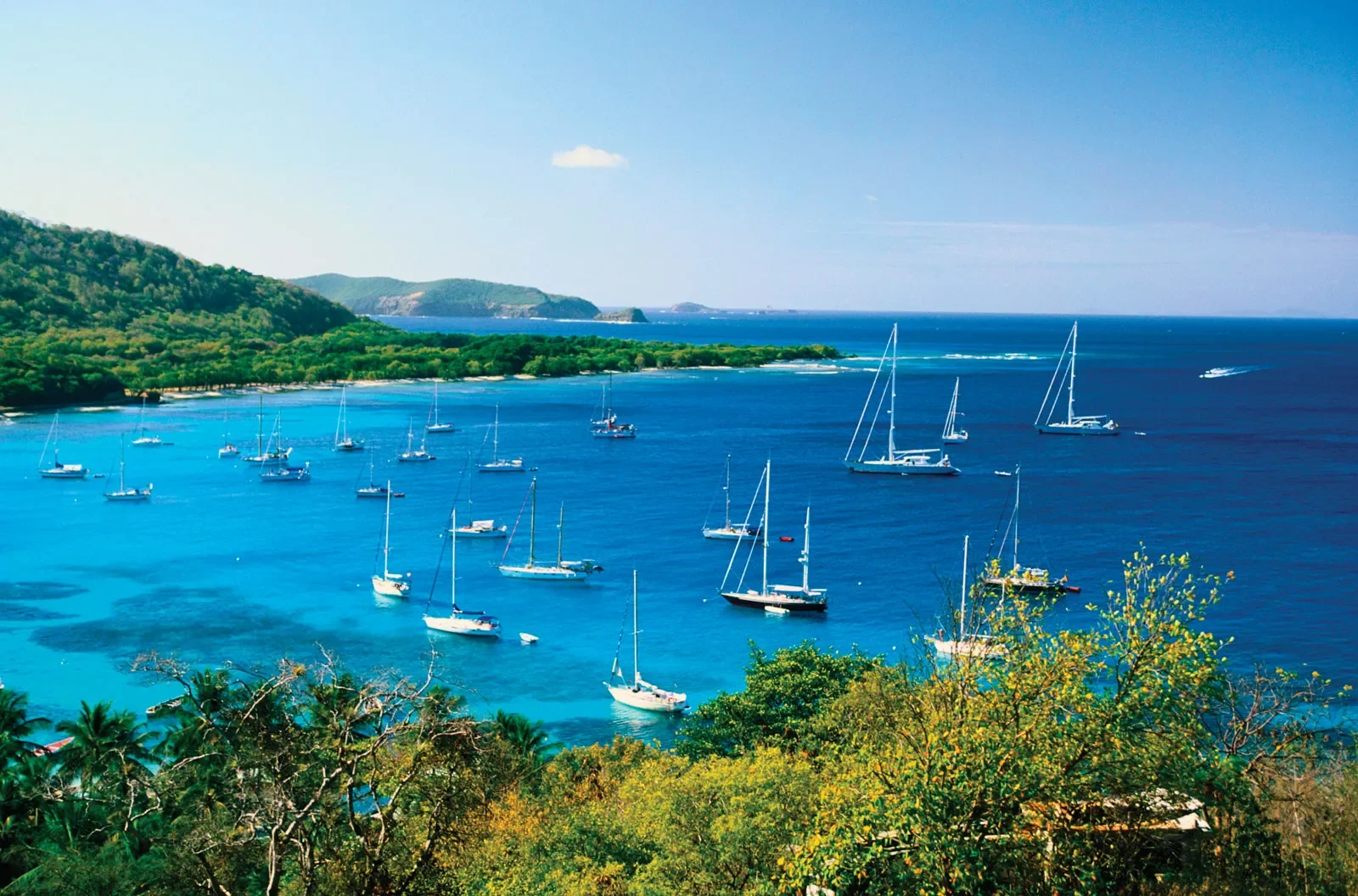 Bay Watch: 10 Trivia Questions About Bays (With Answers)