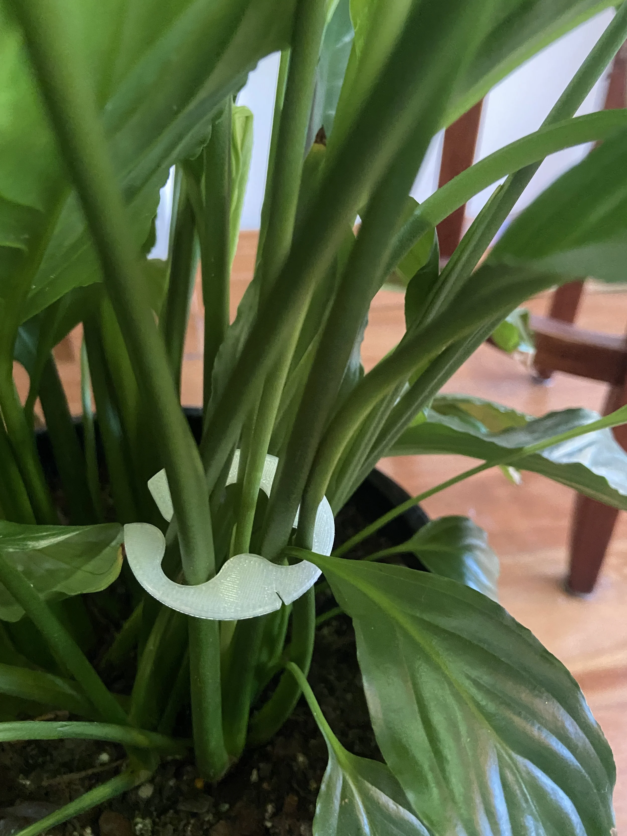 stem-swinburne-placement-construction-growth-companion-innovative-garden-evolutionary-modular-creative