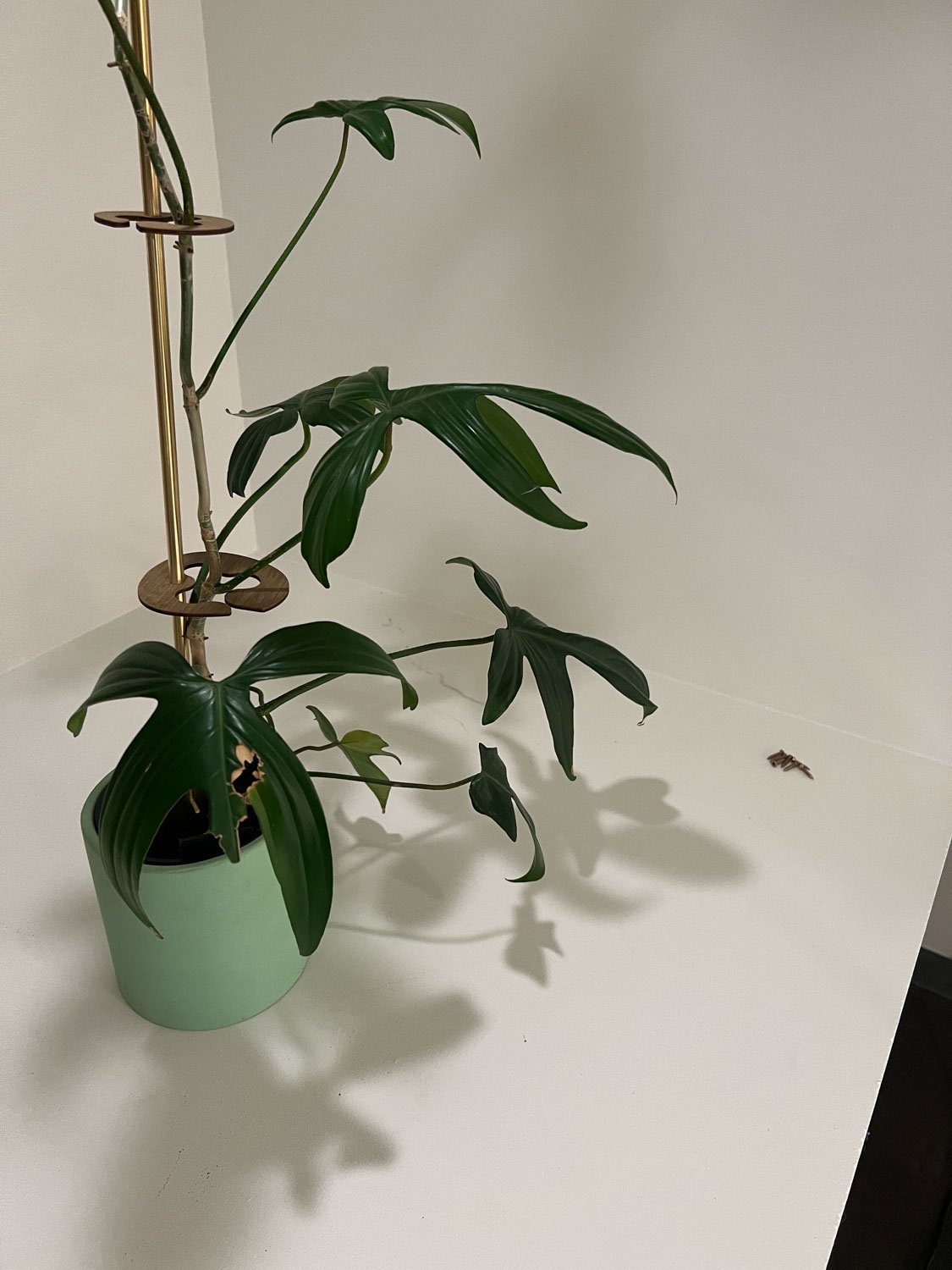 lood-melbourne-design-studio-warehouse-crafted-products-small-studio-swinburne-placement