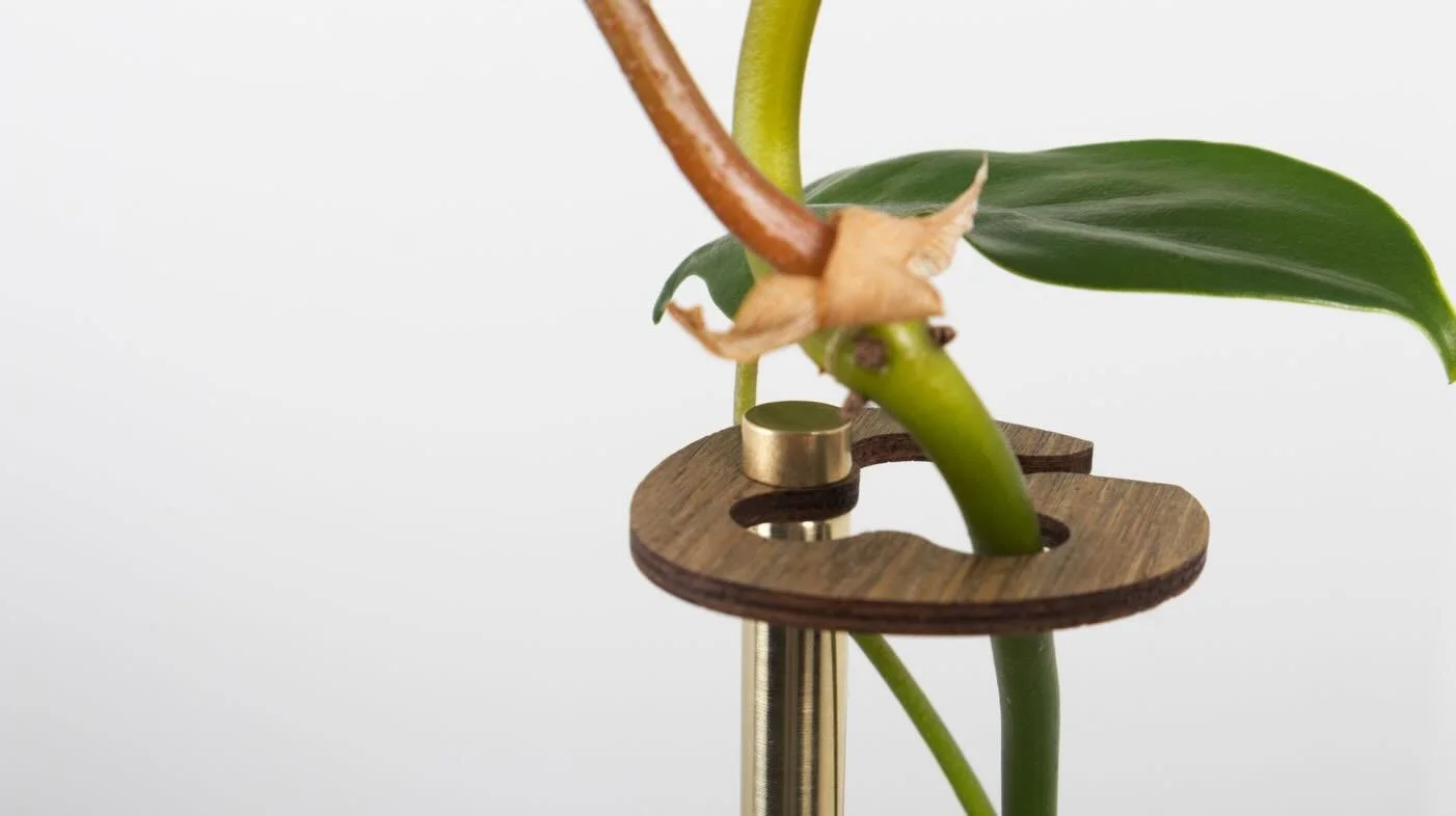 For the plant lovers: Stem is made to grow right alongside your greenery 🌱 
The perfect thoughtful gift. 

#plants #gift #design