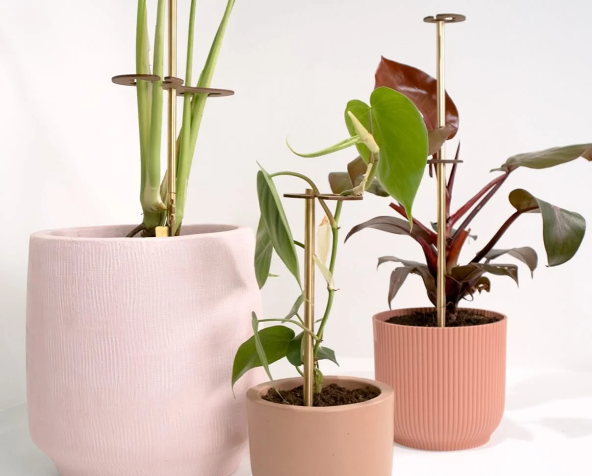 Give your plants the support they deserve. Discover Stem

#plants #design #plant #interior