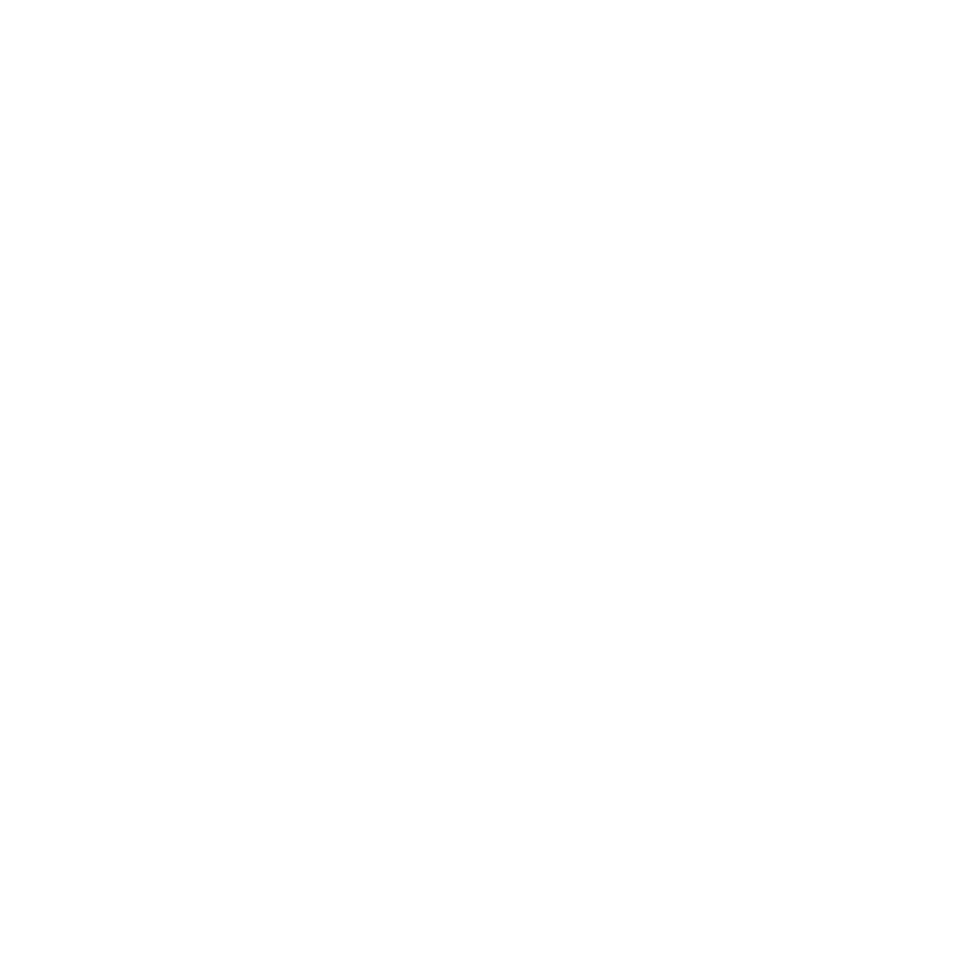 Icon symbolizing growth and sustainability, highlighting Bogan Developments’ focus on projects that deliver lasting community impact for generations.