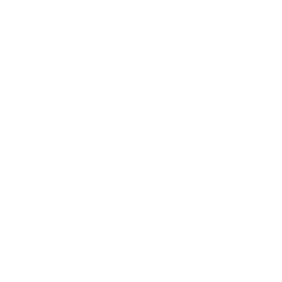 Icon illustrating excellence and achievement, representing Bogan Developments’ ELITE standard of Effort, Leadership, Impact, Teamwork, and Execution.