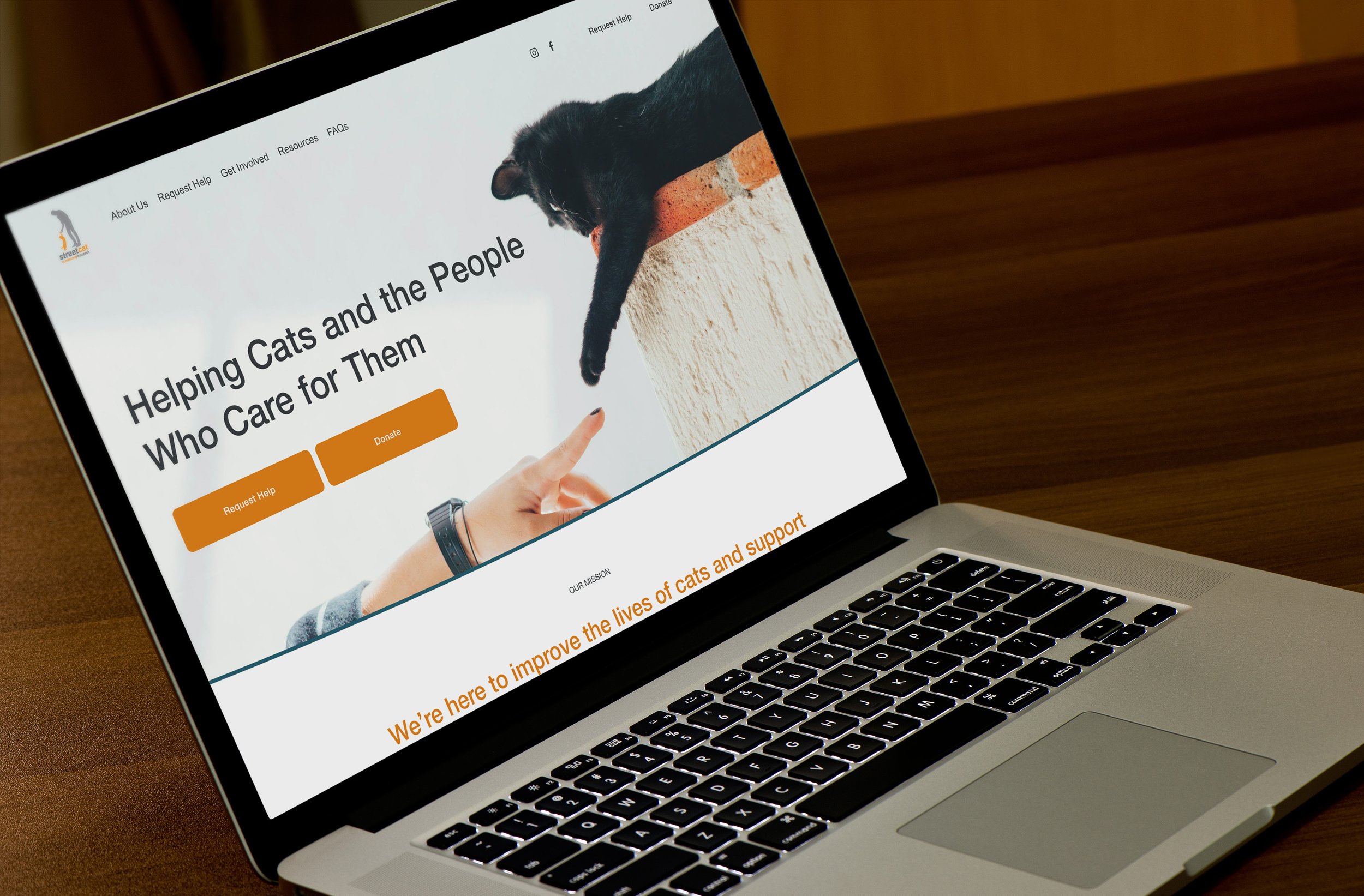 Street Cat Website