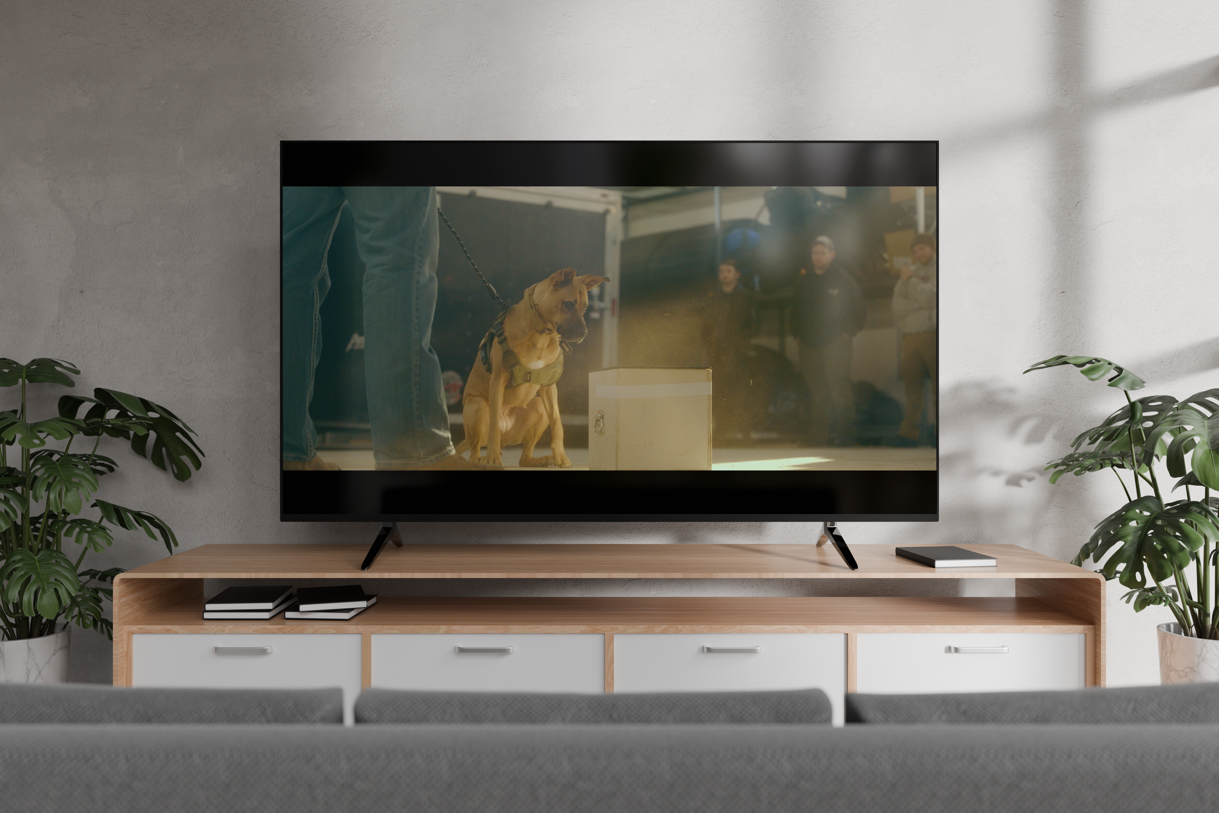 TV Mockup.png