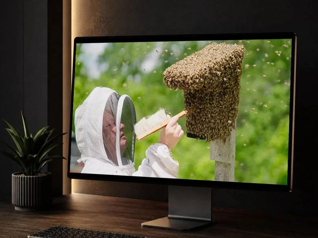 "Bee Our Guest" Video