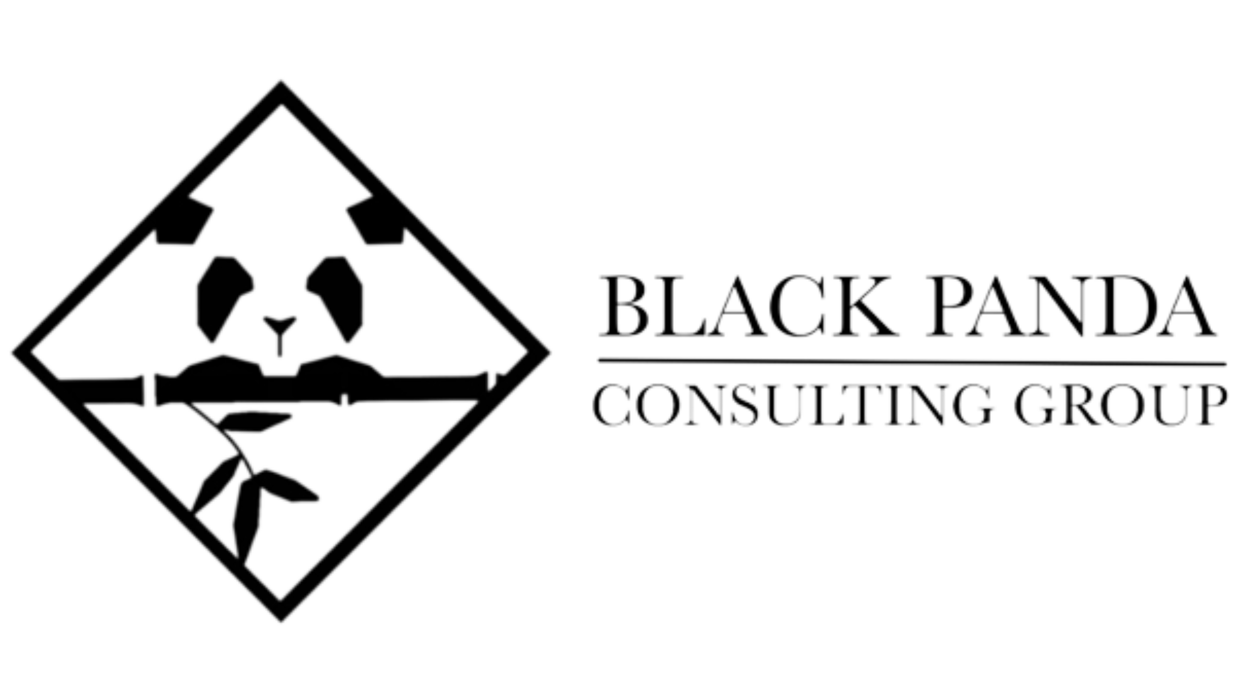Black Panda Consulting Group