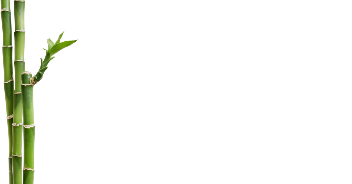 Black Panda Consulting Group