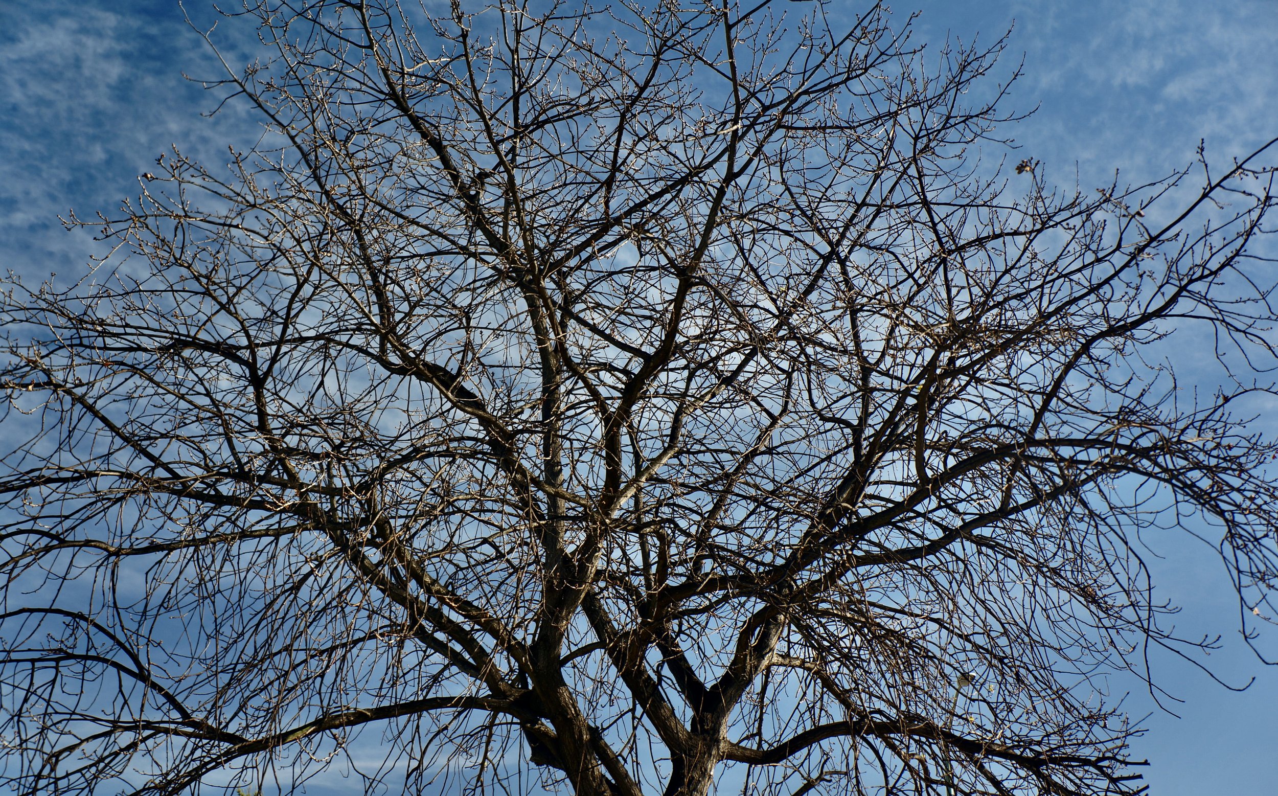 94DAE318-32D4-44A4-9F92-00BB34E25493_1_201_a - JK Page.jpeg