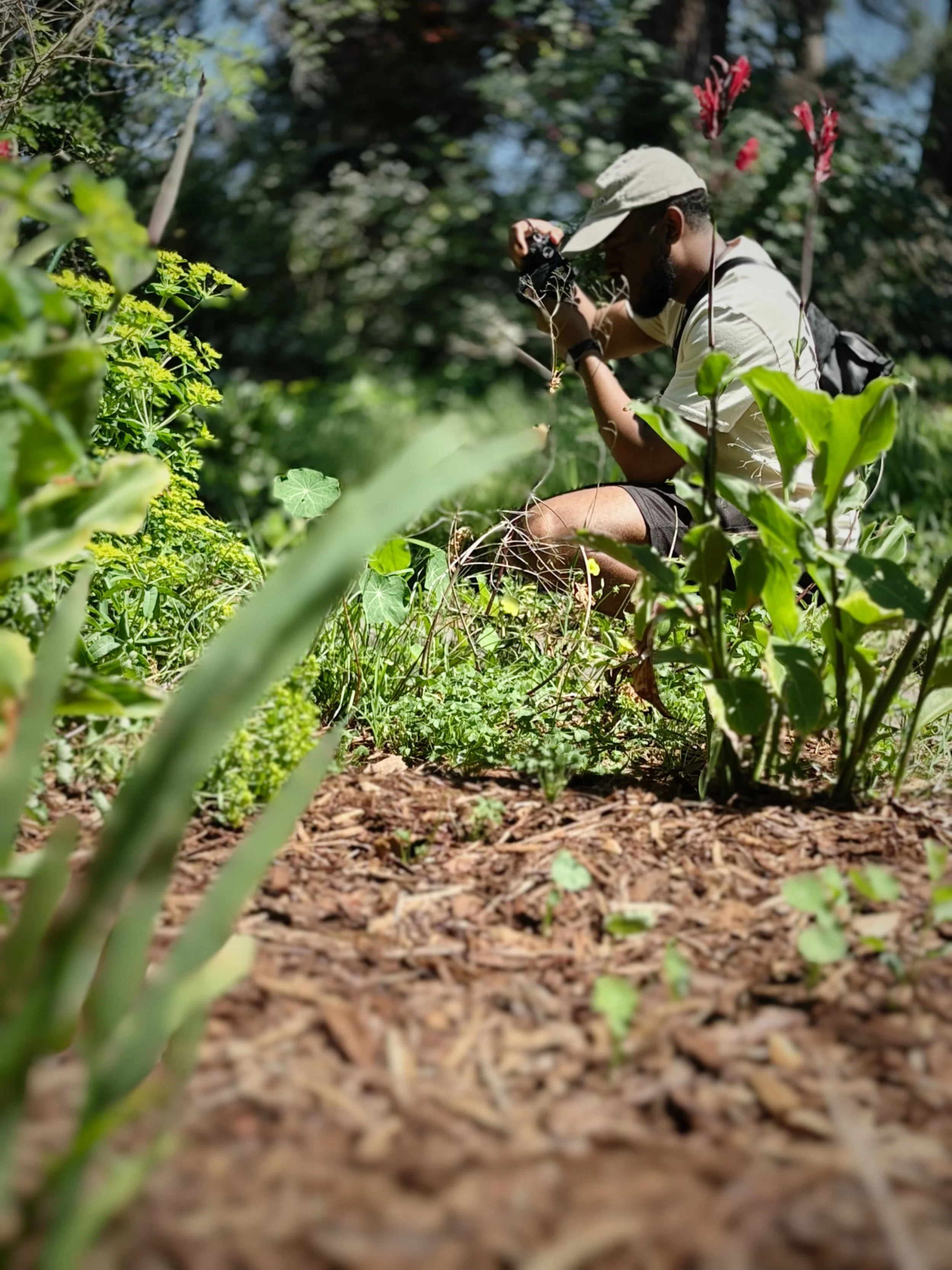 IMG_5270 - david bayless.jpeg