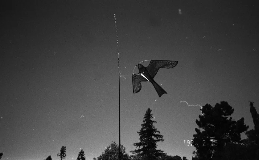 BCN_2025_63 - Sasha-Mylan Williams.JPG