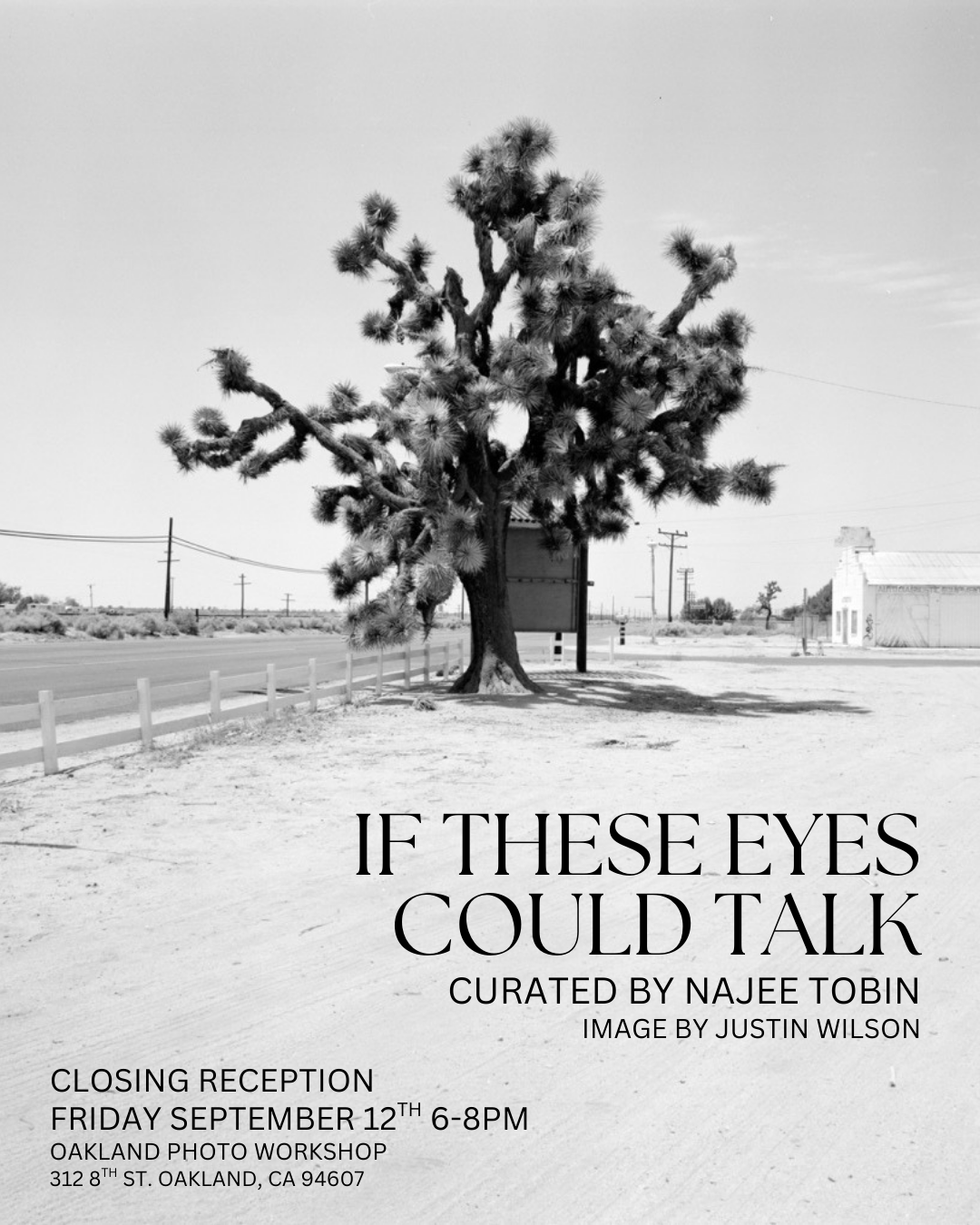 Closing Reception: If These Eyes Could Talk