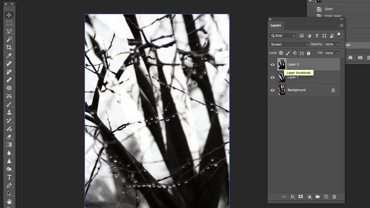 Intro to Digital Imaging with Photoshop