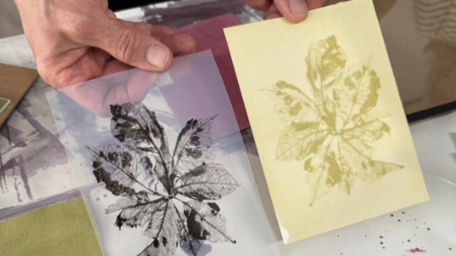 Anthotype Printing