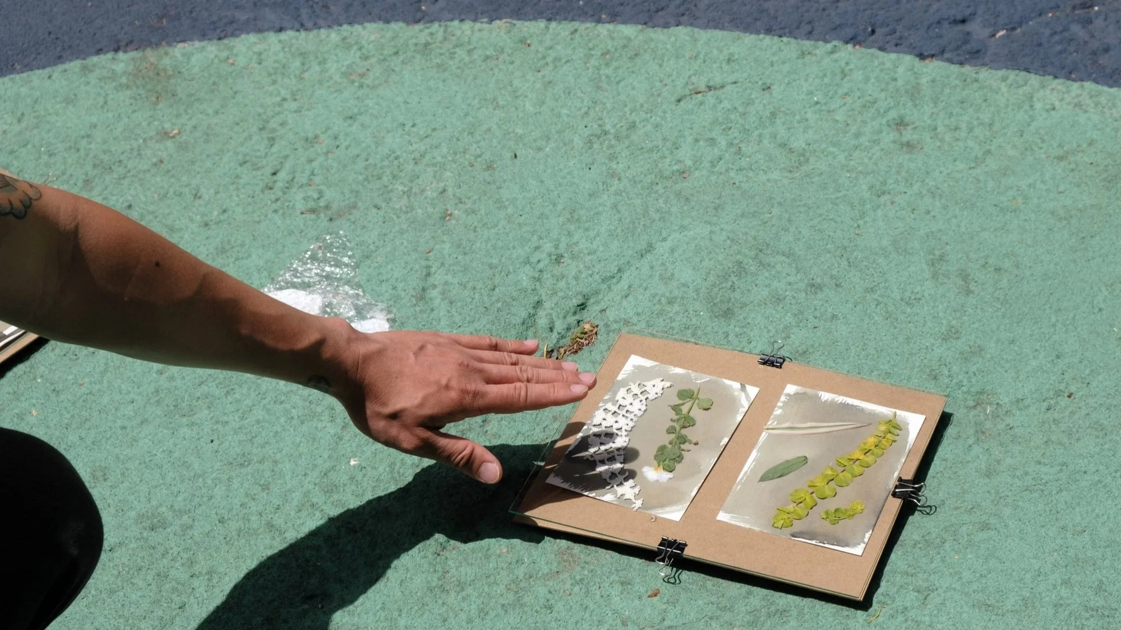 Experimental Cyanotype