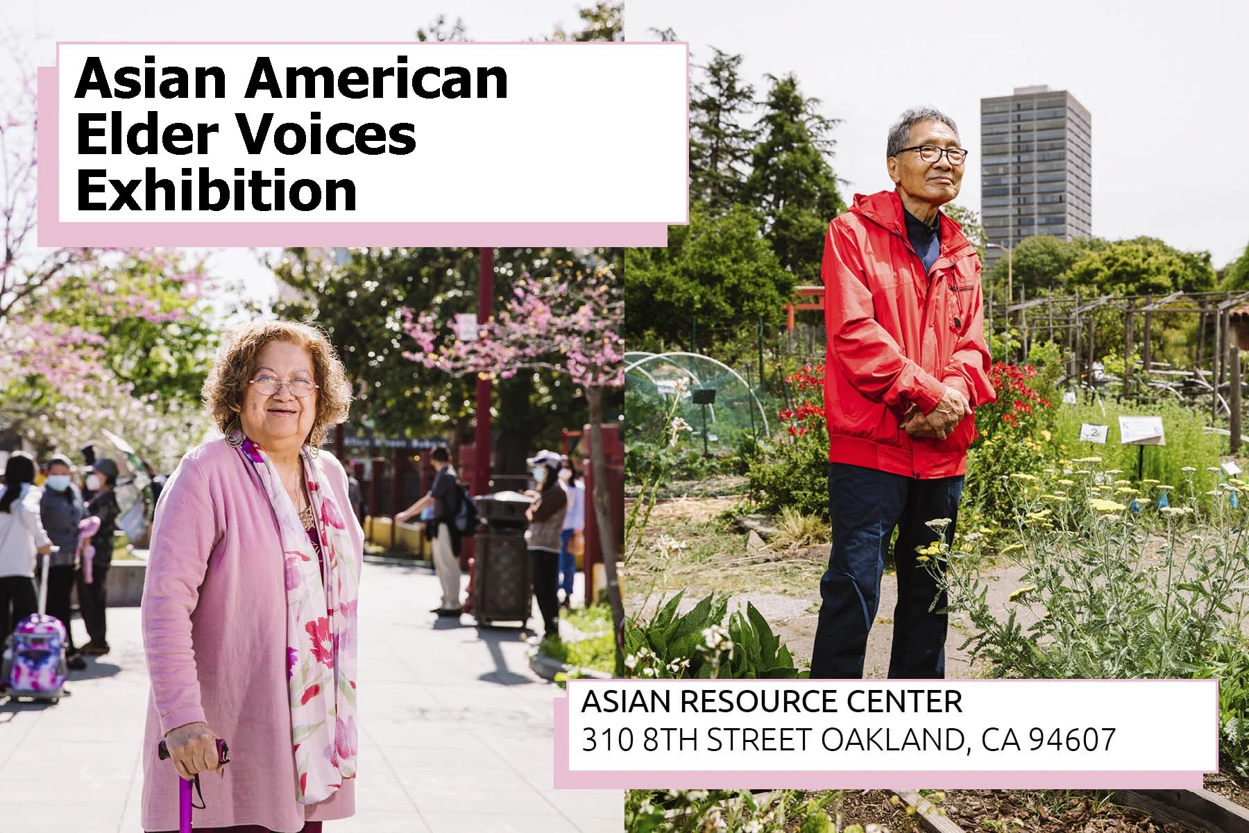 Asian American Elder Voices