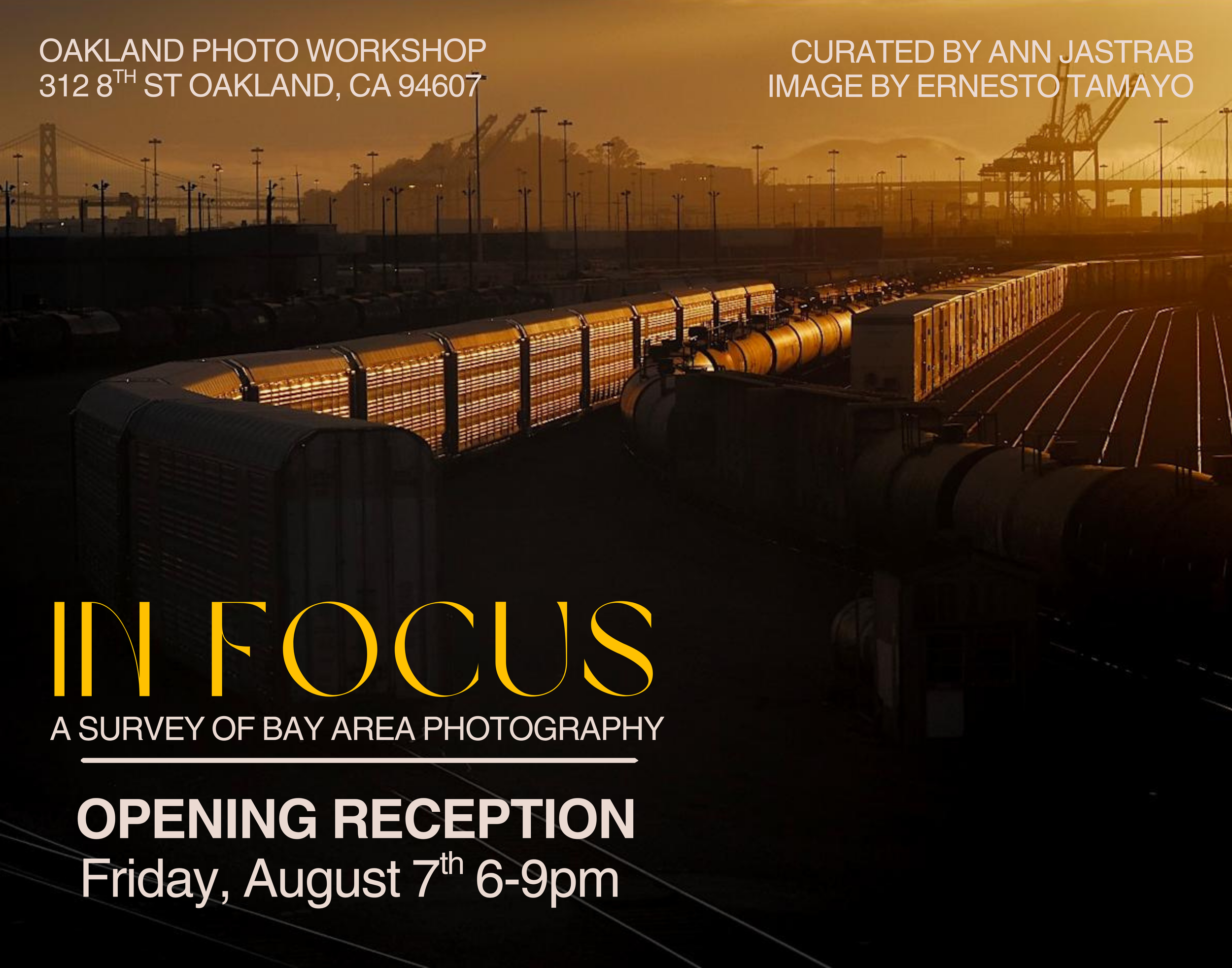 Opening Reception - In Focus; A Survey of Bay Area Photography