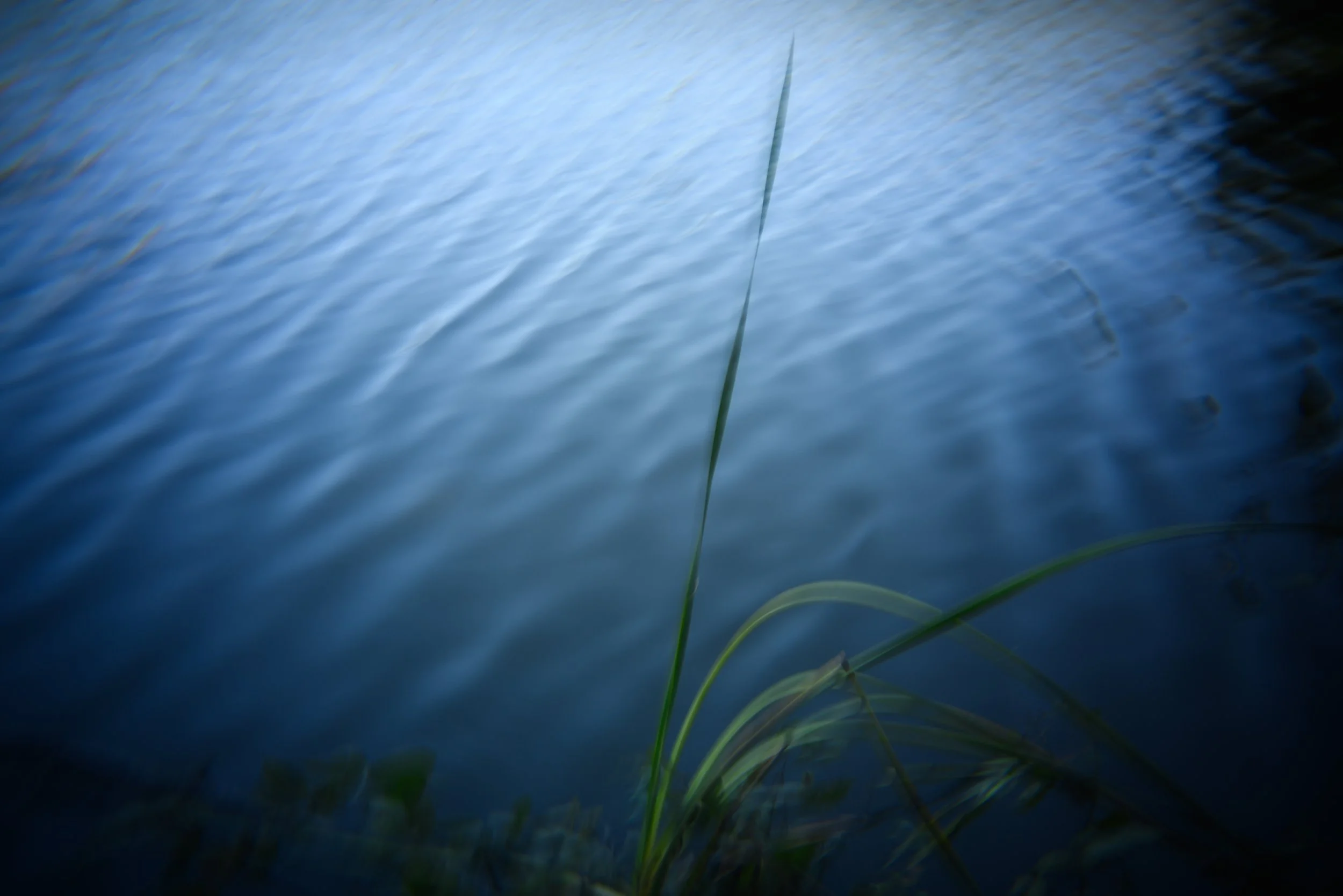 Peterson_Scott_-6147 - Scott Peterson.jpg