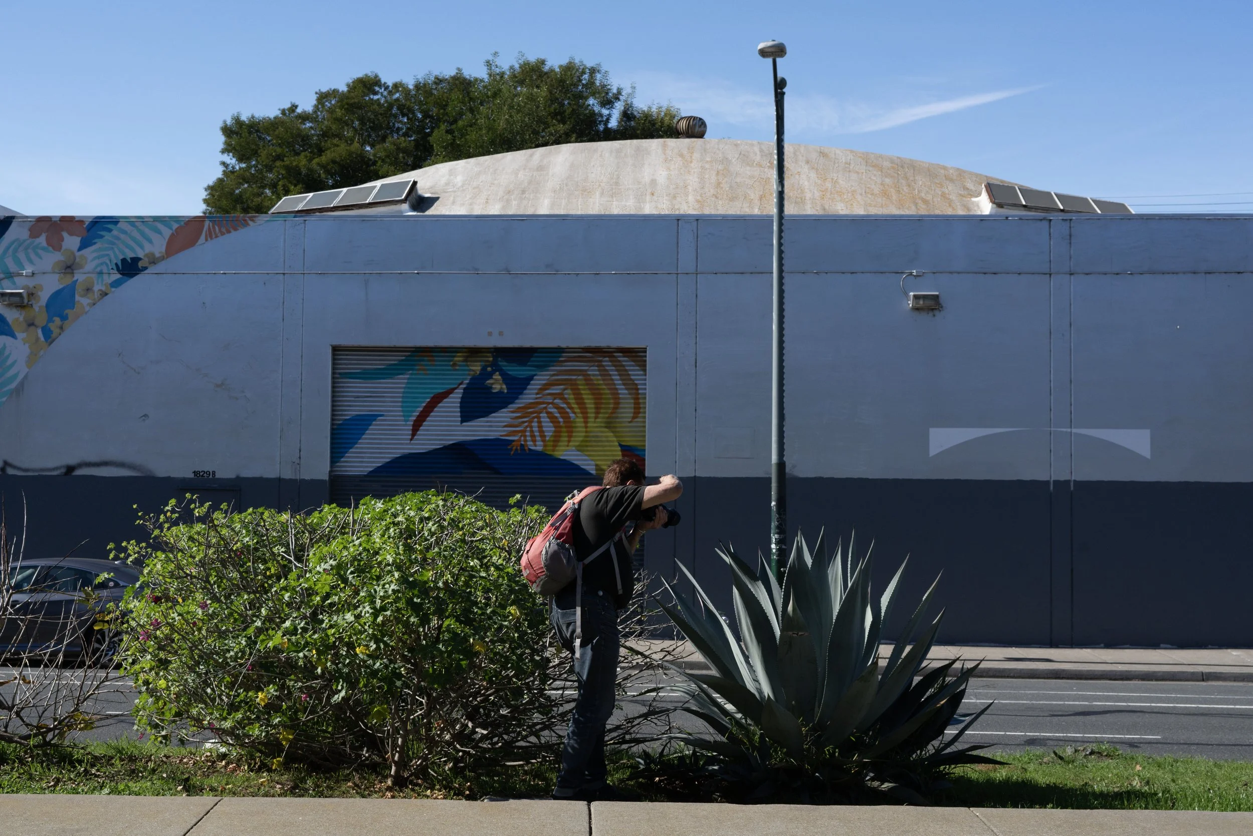 DSC03181 copy - James Breeden.jpg