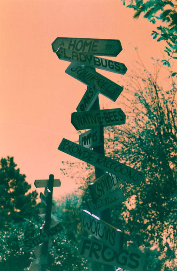 Screenshot_1 - lolaway(3).png