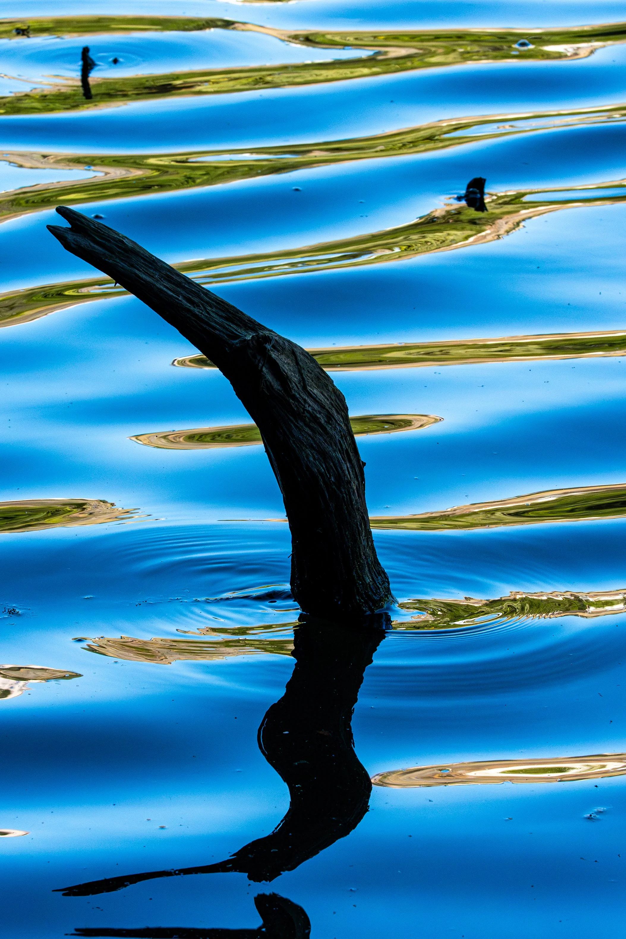 C2102232-LRC-1 - 240 dpi - James Fredrickson.jpg