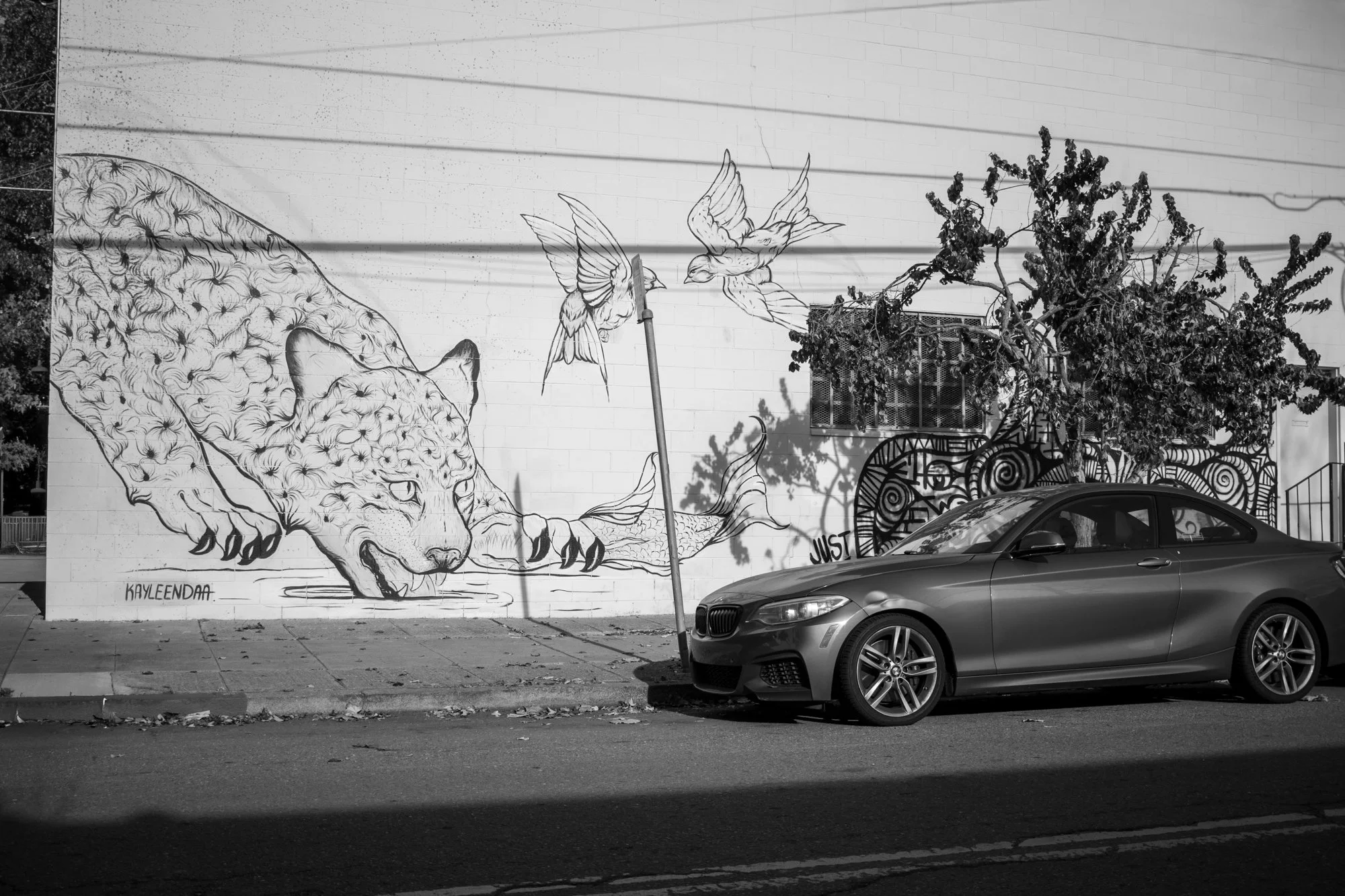 IMG_4752 - Elisa Montemayor.jpg