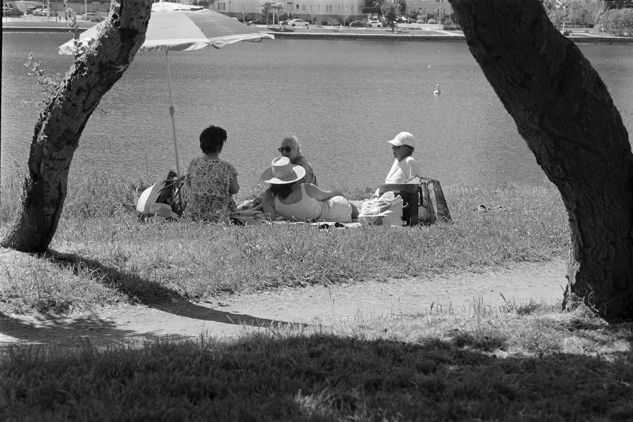 20260406_OAK_Photowalk_Fuji400_Roll_319-17 - Steven Baum.jpg