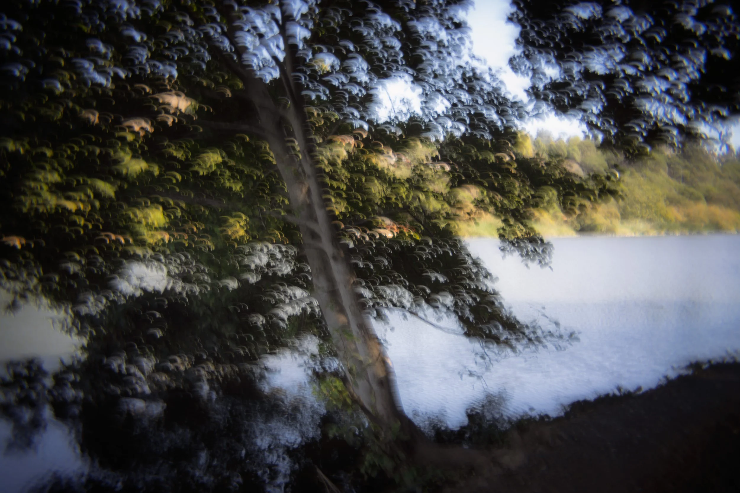 Peterson_Scott_-6087 - Scott Peterson.jpg