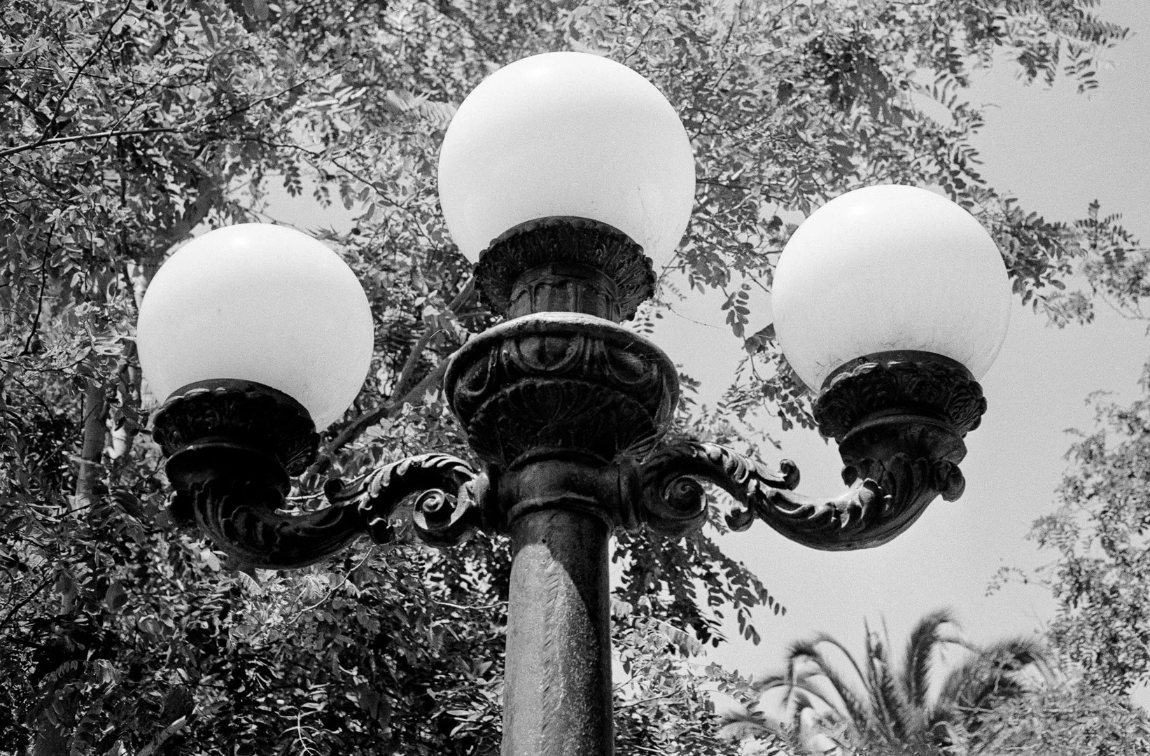 250808_06_WilfredGalila - Wilfred Galila.jpg