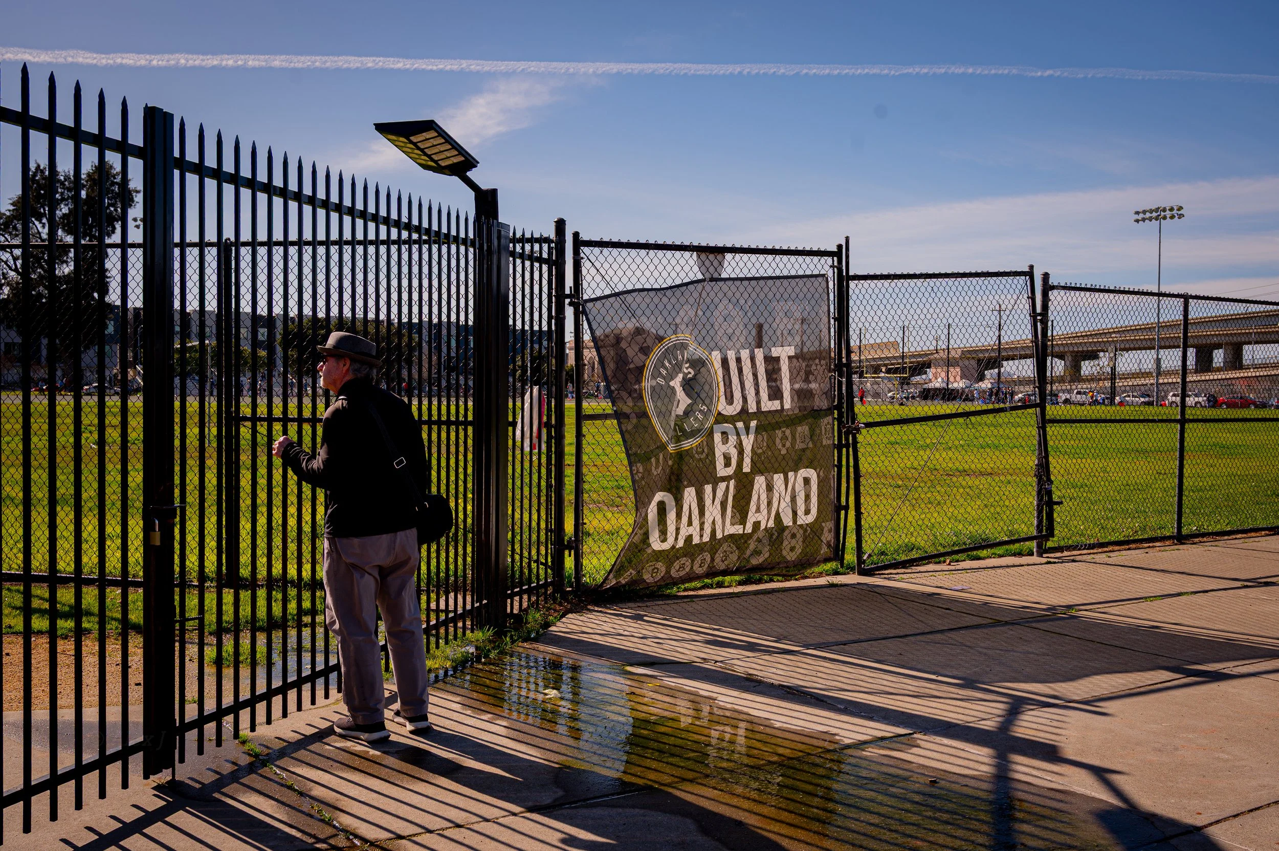 _DSC9406 - Alejandro J Hernandez.jpeg