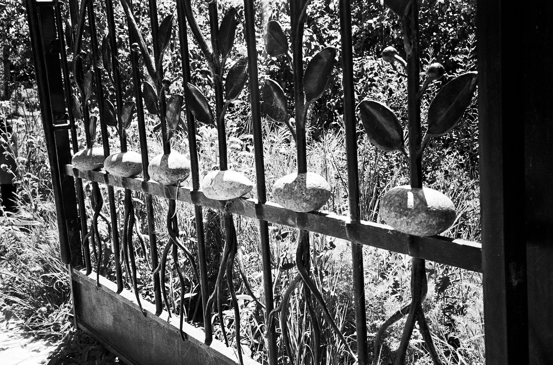 260406_06_WilfredGalila - Wilfred Galila.jpg