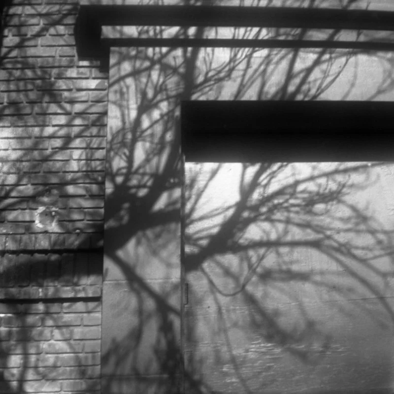 J. M. Golding