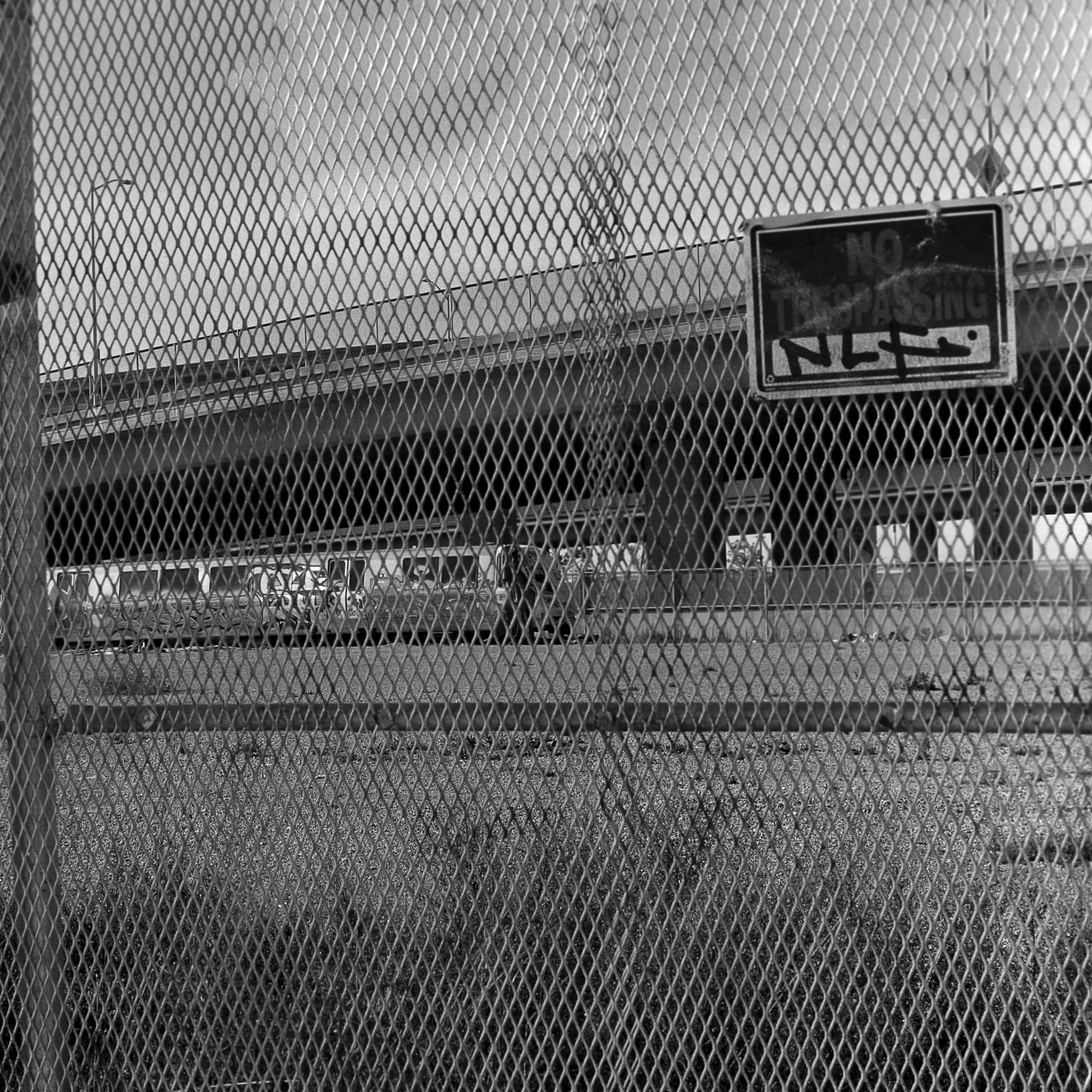 Steve-Baum002 - Steven Baum.jpg