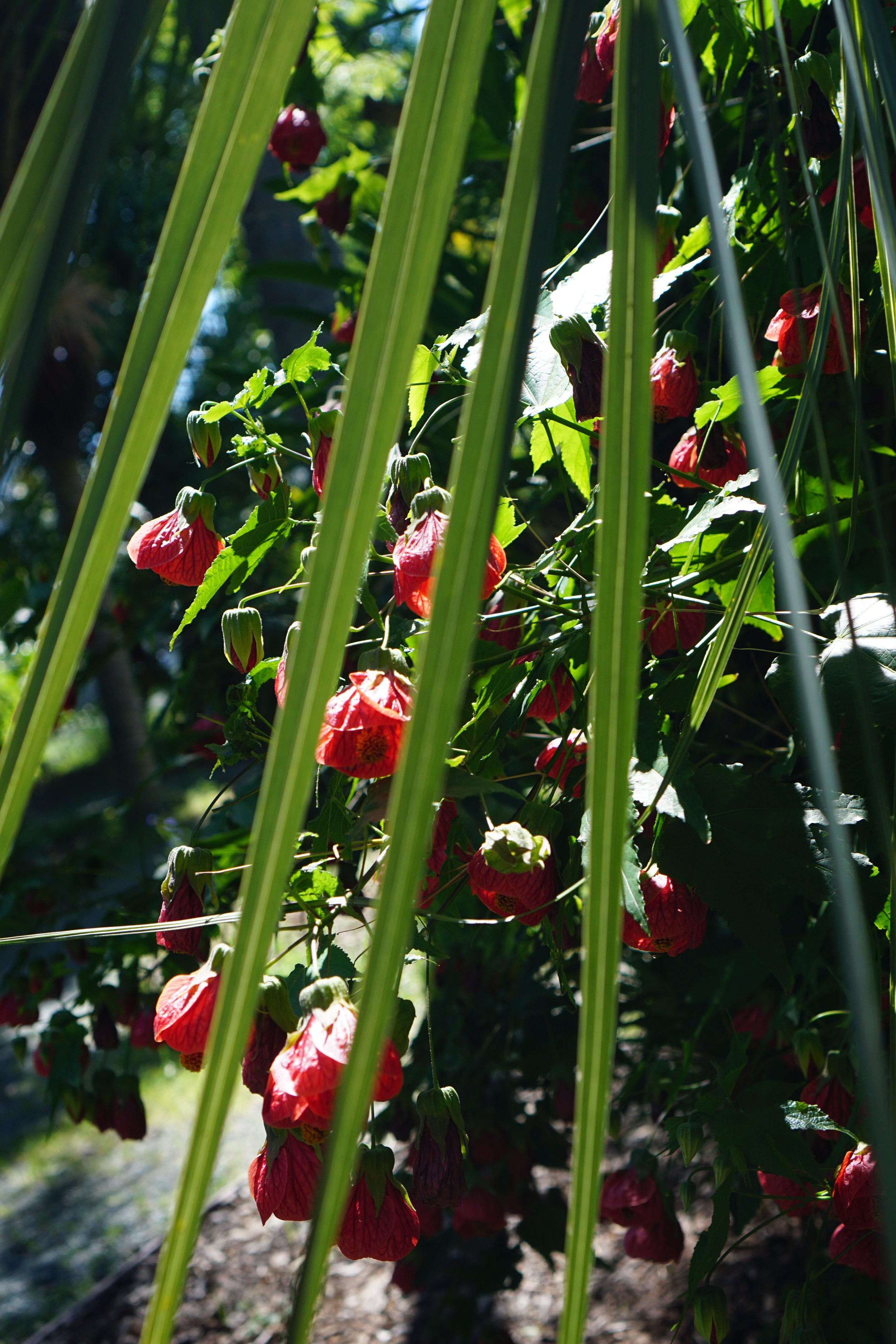 EBH 4.5 3 - Erma Halili.jpeg