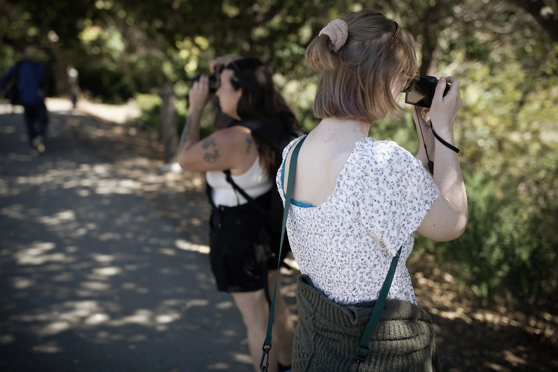 IMG_6315rawb - david bayless.jpg