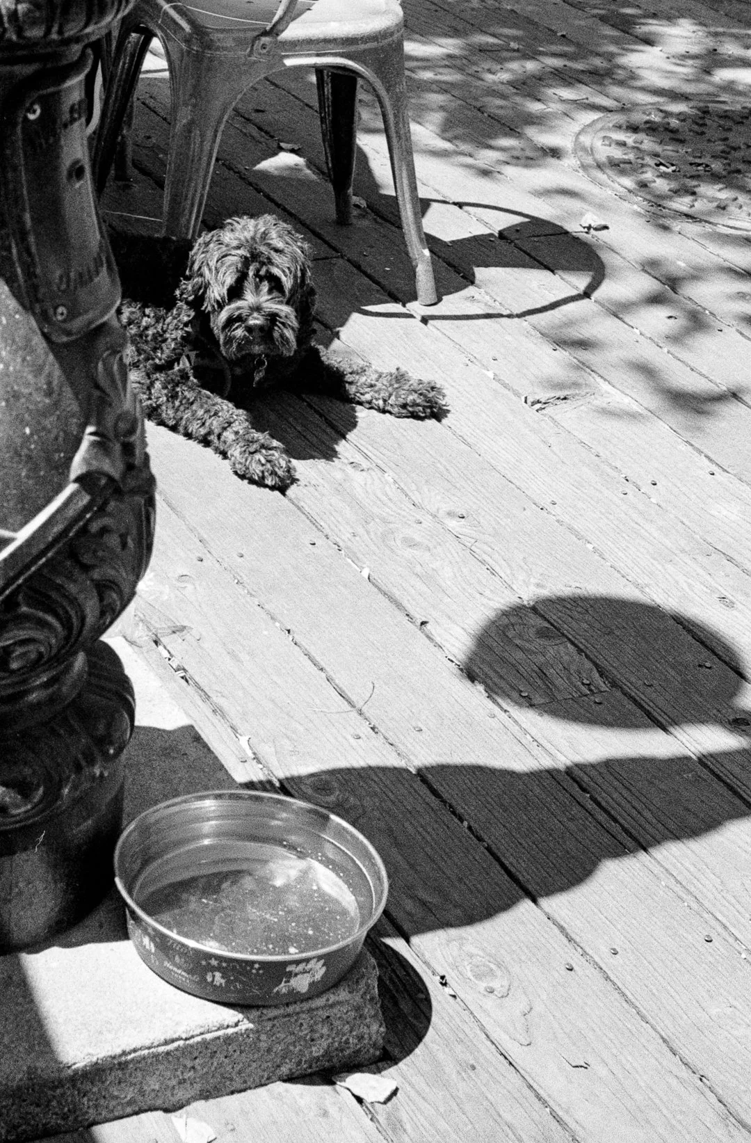 250808_07_WilfredGalila - Wilfred Galila.jpg