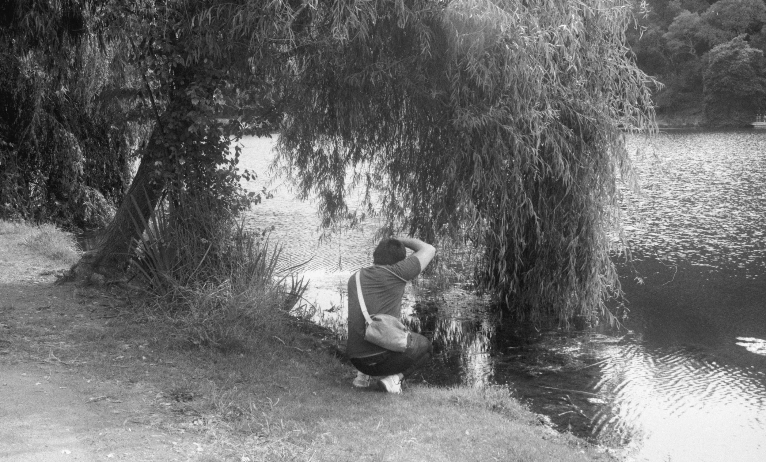 pic_12 - Anwyn Evans.jpg
