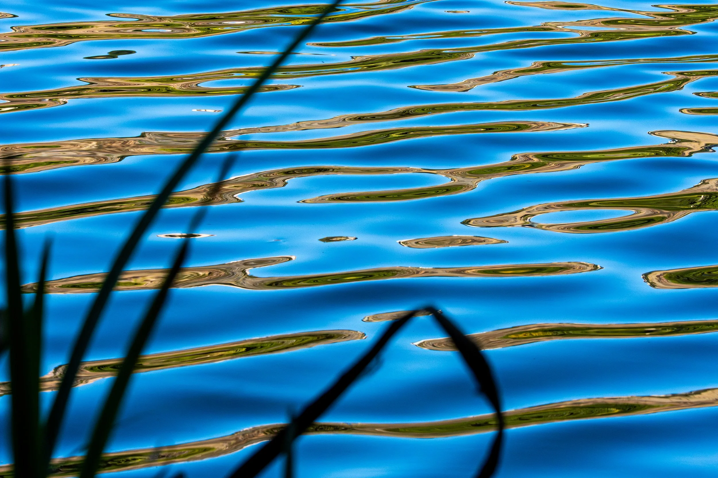 C2102269-LRC-1 - 240 dpi - James Fredrickson.jpg