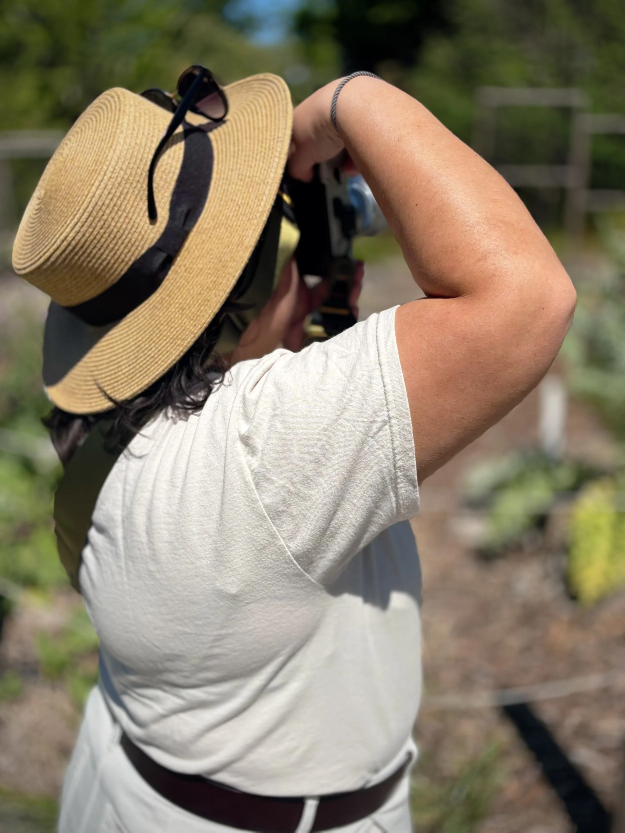 IMG_5212 - david bayless.jpeg