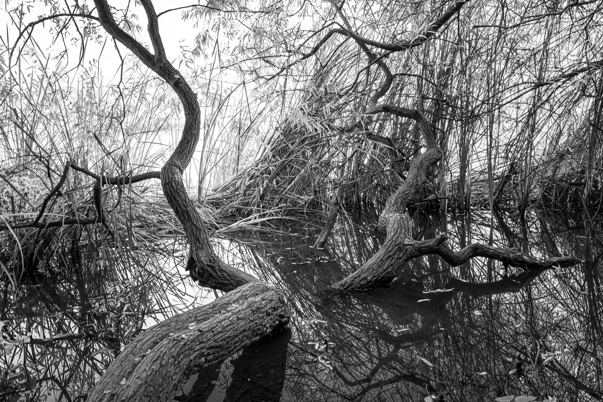 L1002079 - Marc Andreoli.jpg