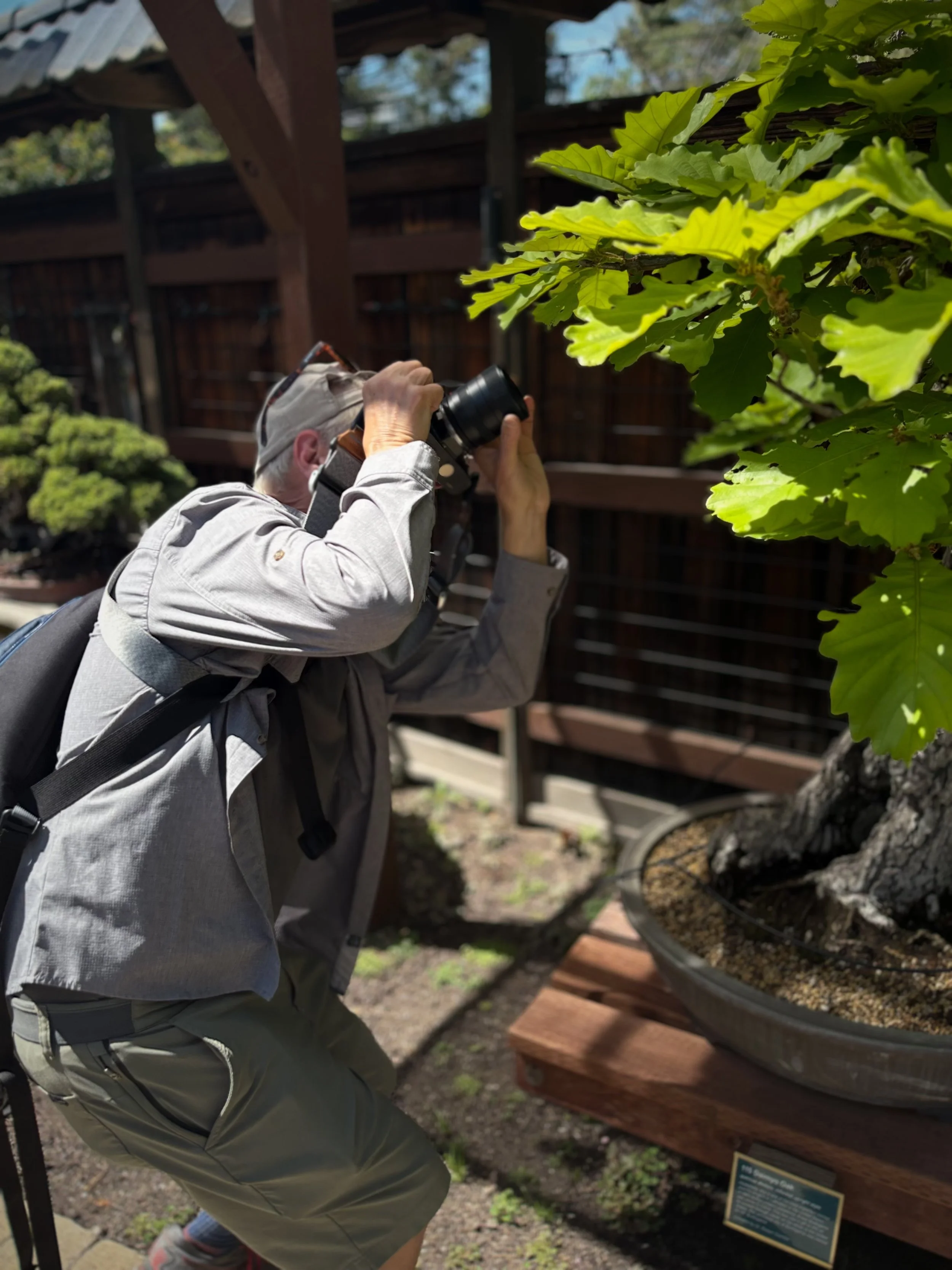 IMG_5245 - david bayless.jpeg