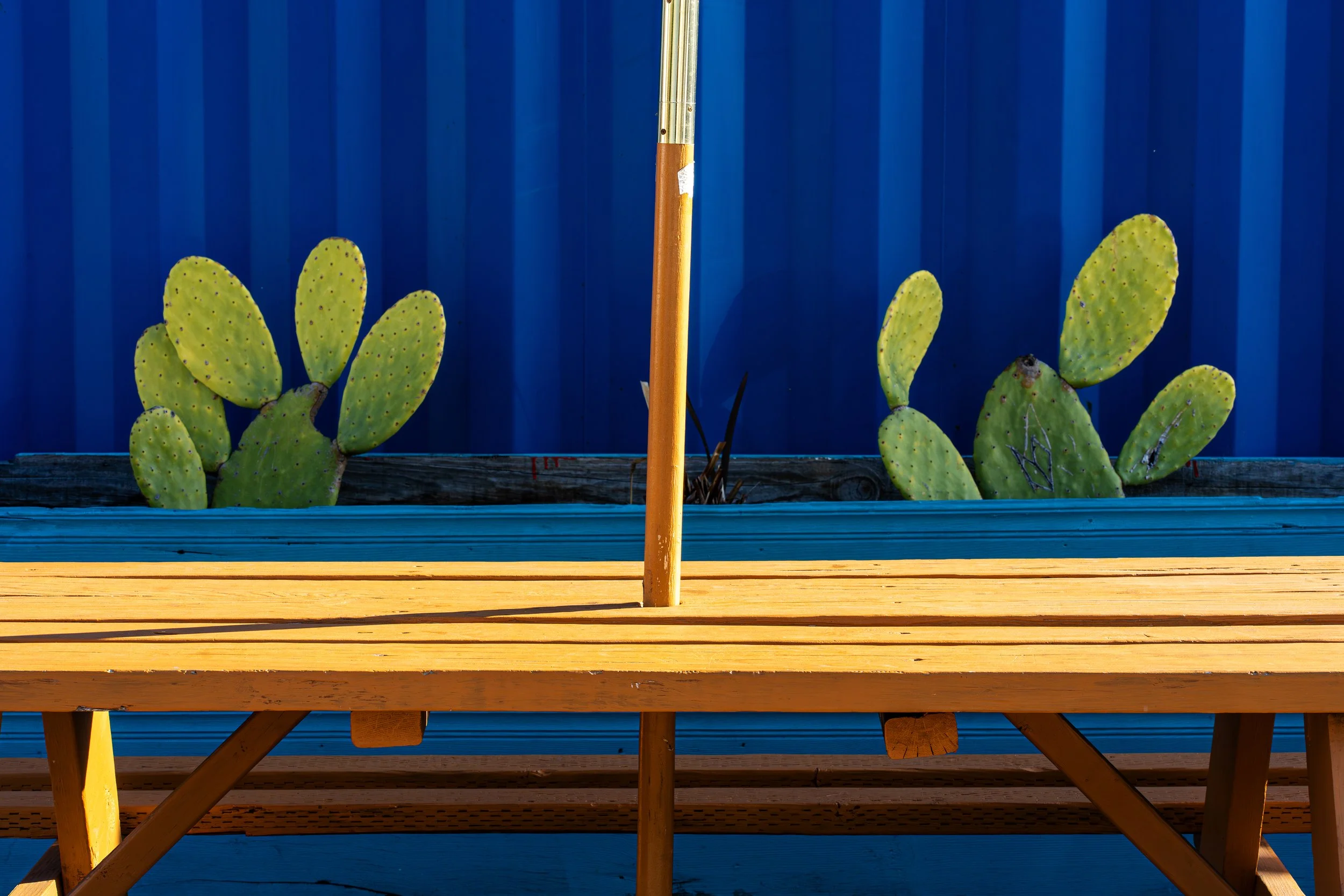 C2106106-LRC P3-1 - 220 dpi - James Fredrickson.jpg